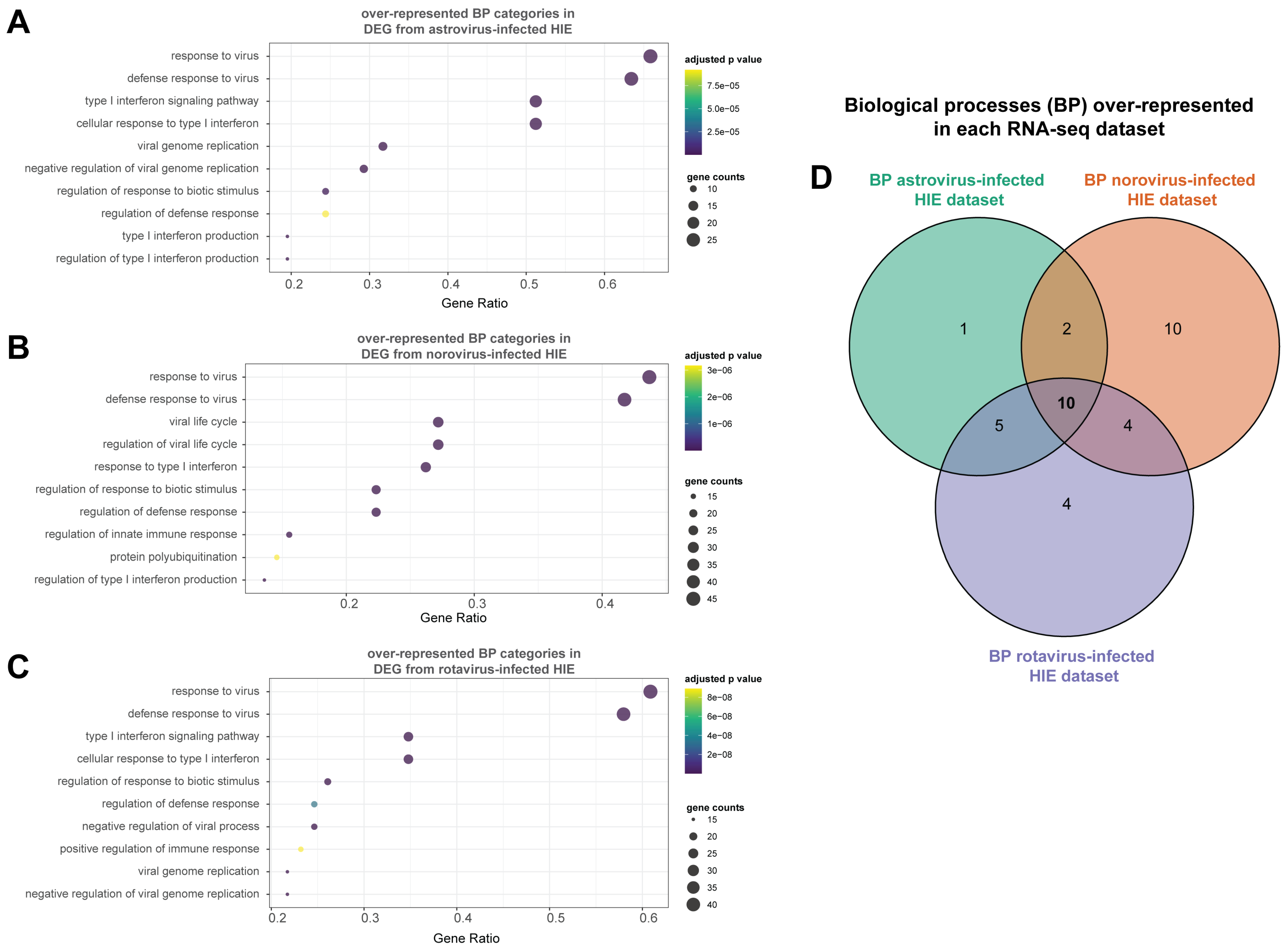 Viruses 13 01059 g005 Viruses 13 01059 g005
