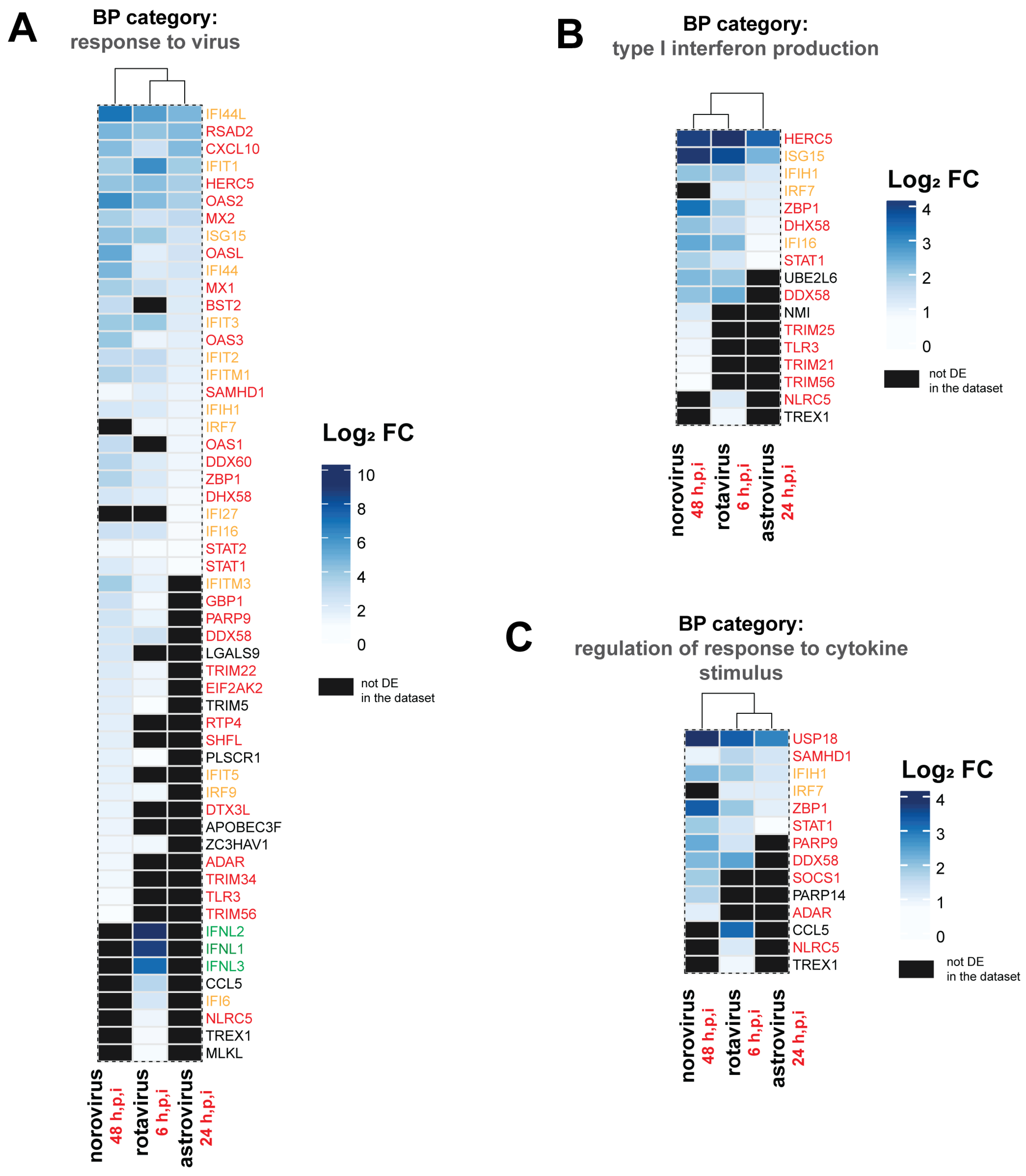Viruses 13 01059 g006 Viruses 13 01059 g006