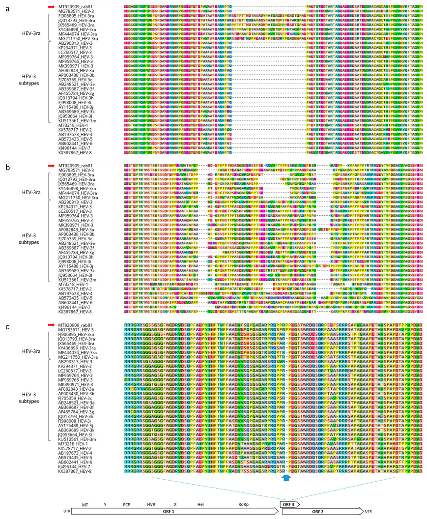 Viruses 13 01065 g005
