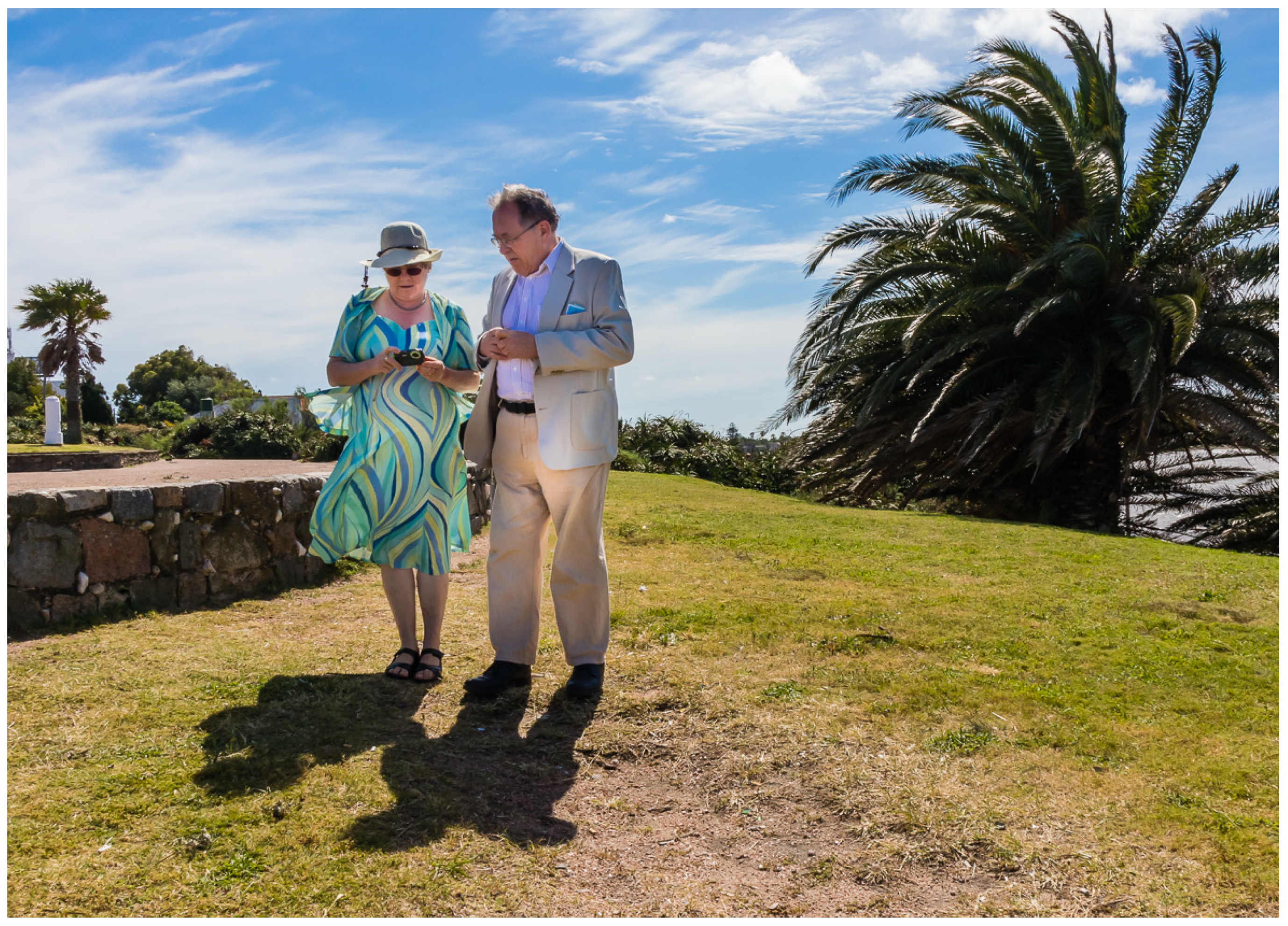 Viruses 13 01068 g004