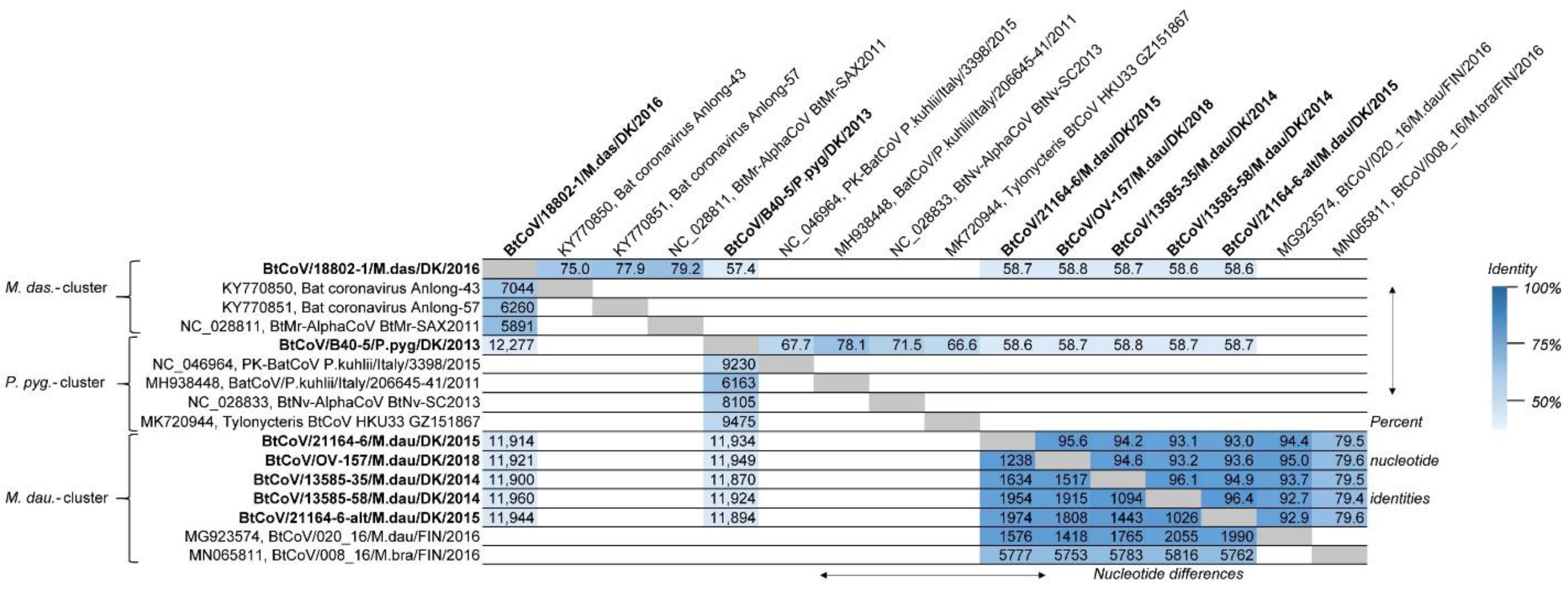 Viruses 13 01073 g001 Viruses 13 01073 g001