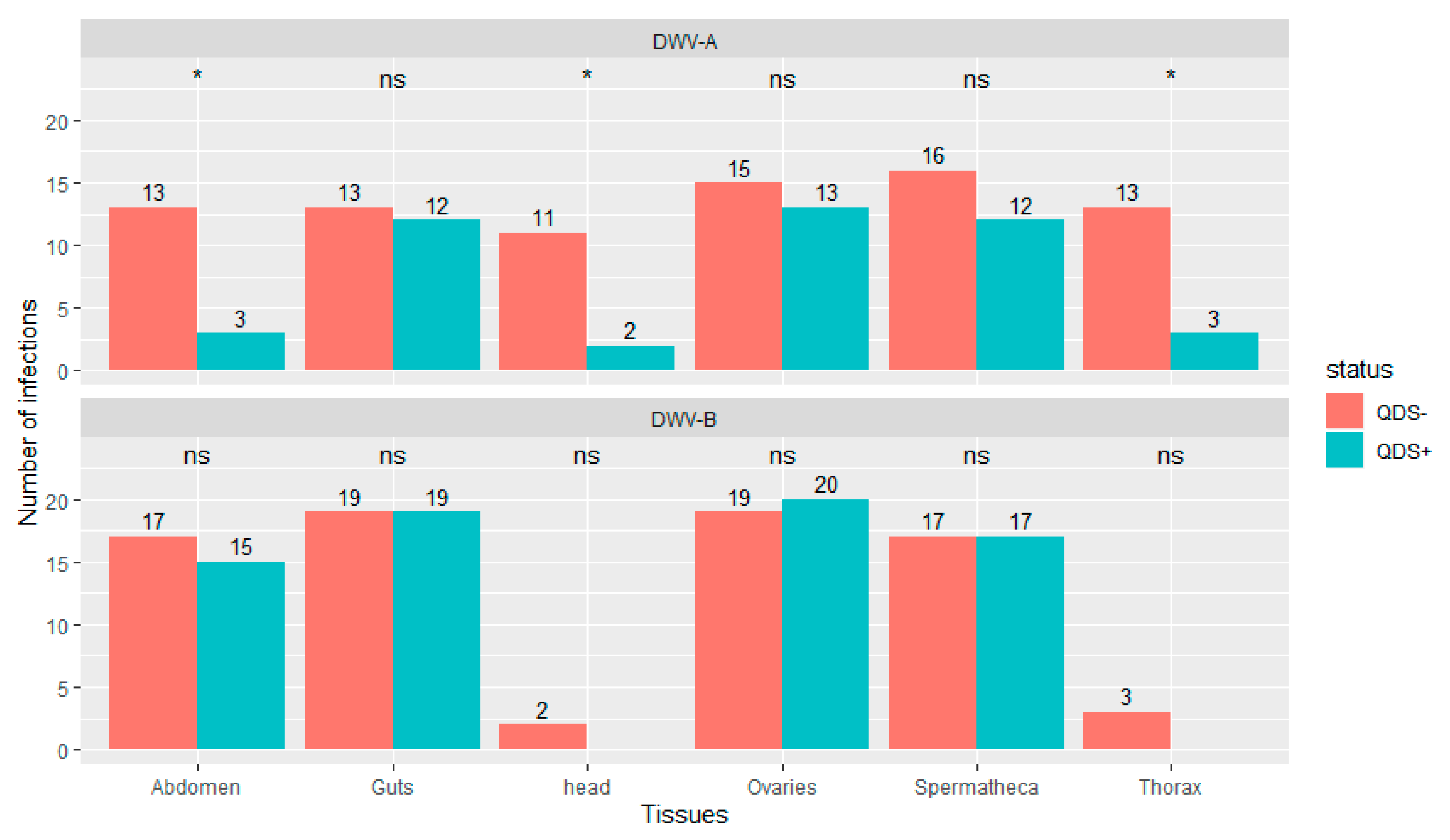 Viruses 13 01074 g002 Viruses 13 01074 g002