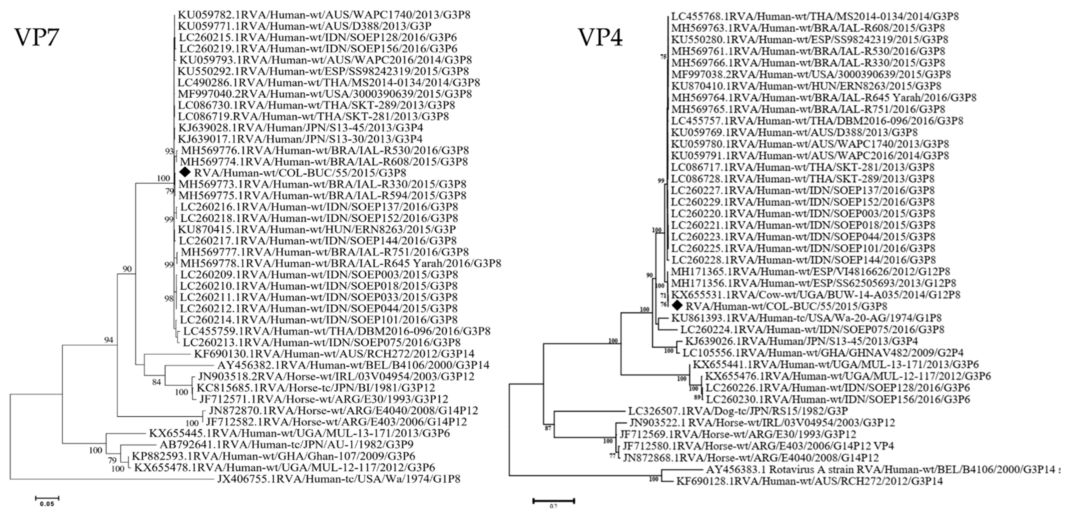 Viruses 13 01075 g001 Viruses 13 01075 g001