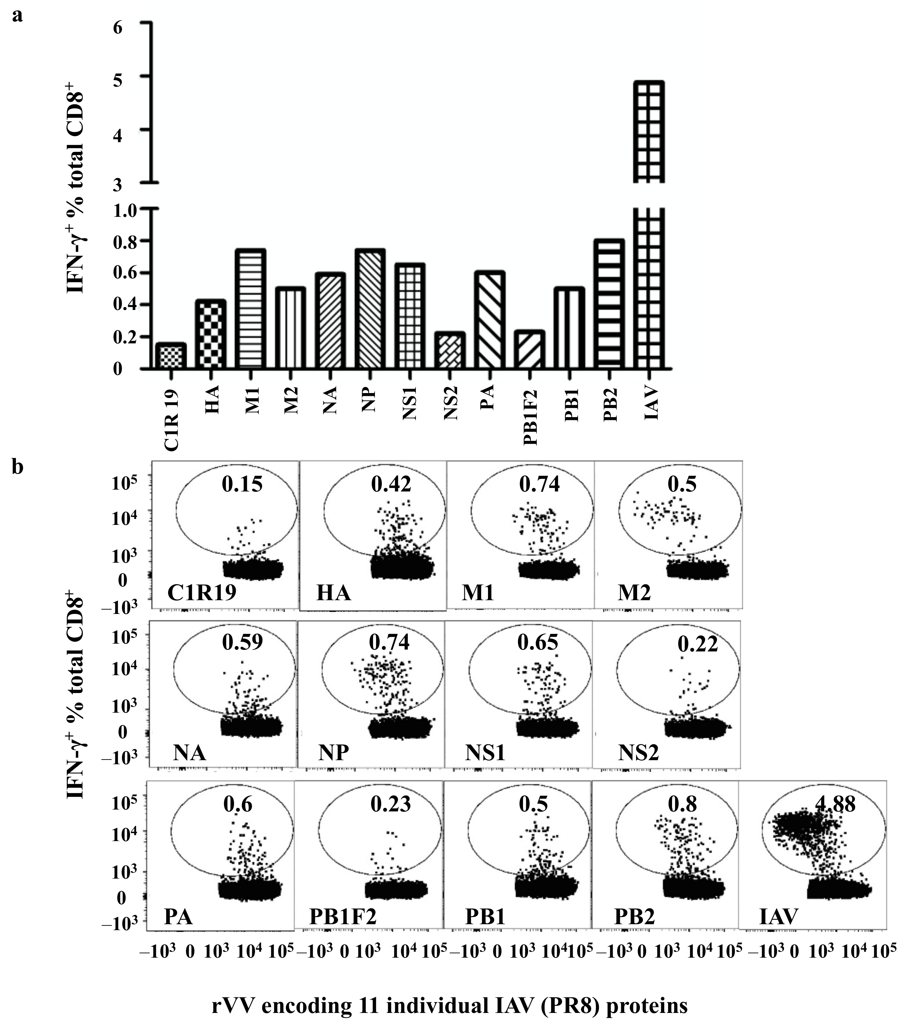 Viruses 13 01080 g002 Viruses 13 01080 g002