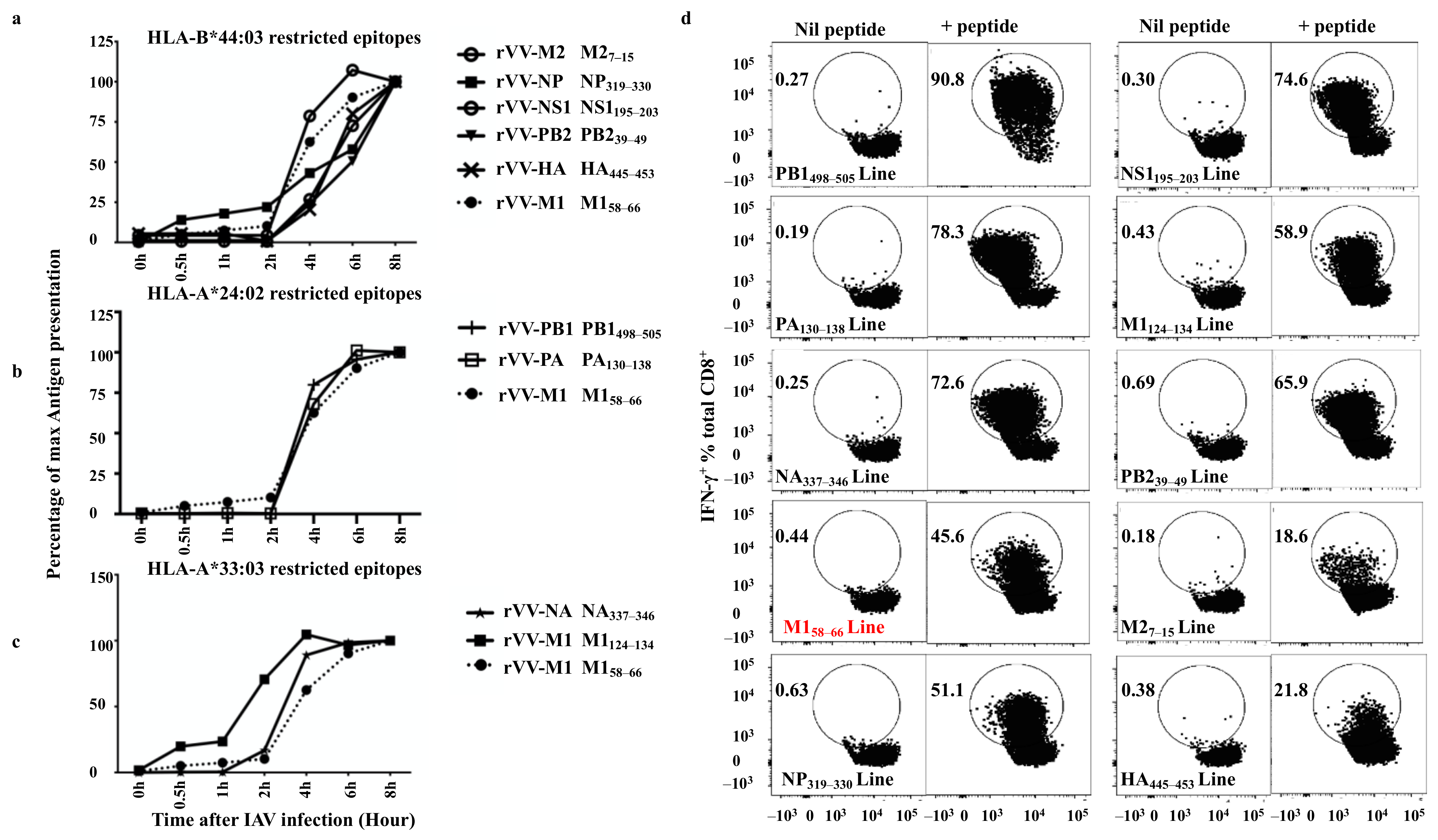Viruses 13 01080 g005 Viruses 13 01080 g005