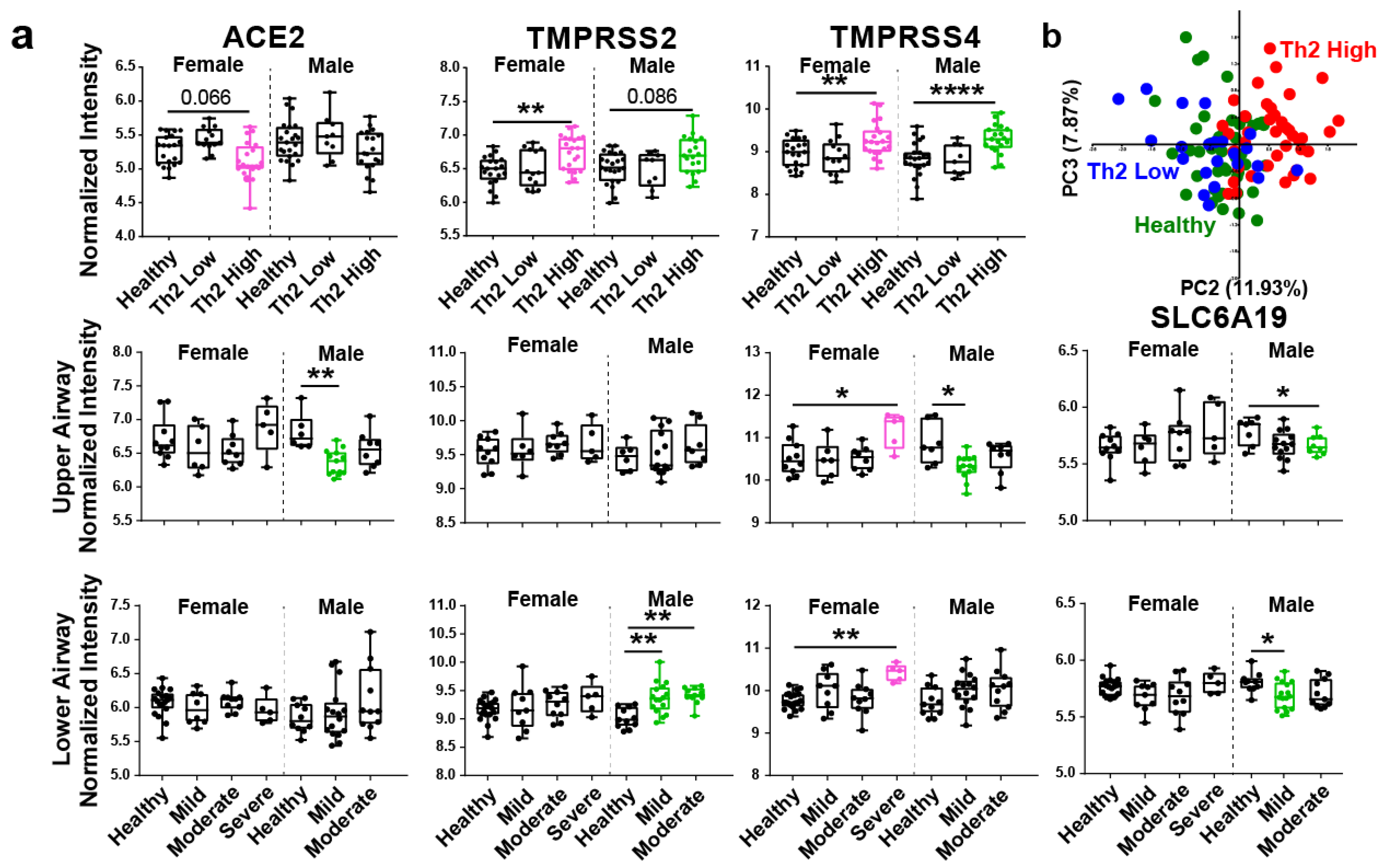 Viruses 13 01081 g001 Viruses 13 01081 g001