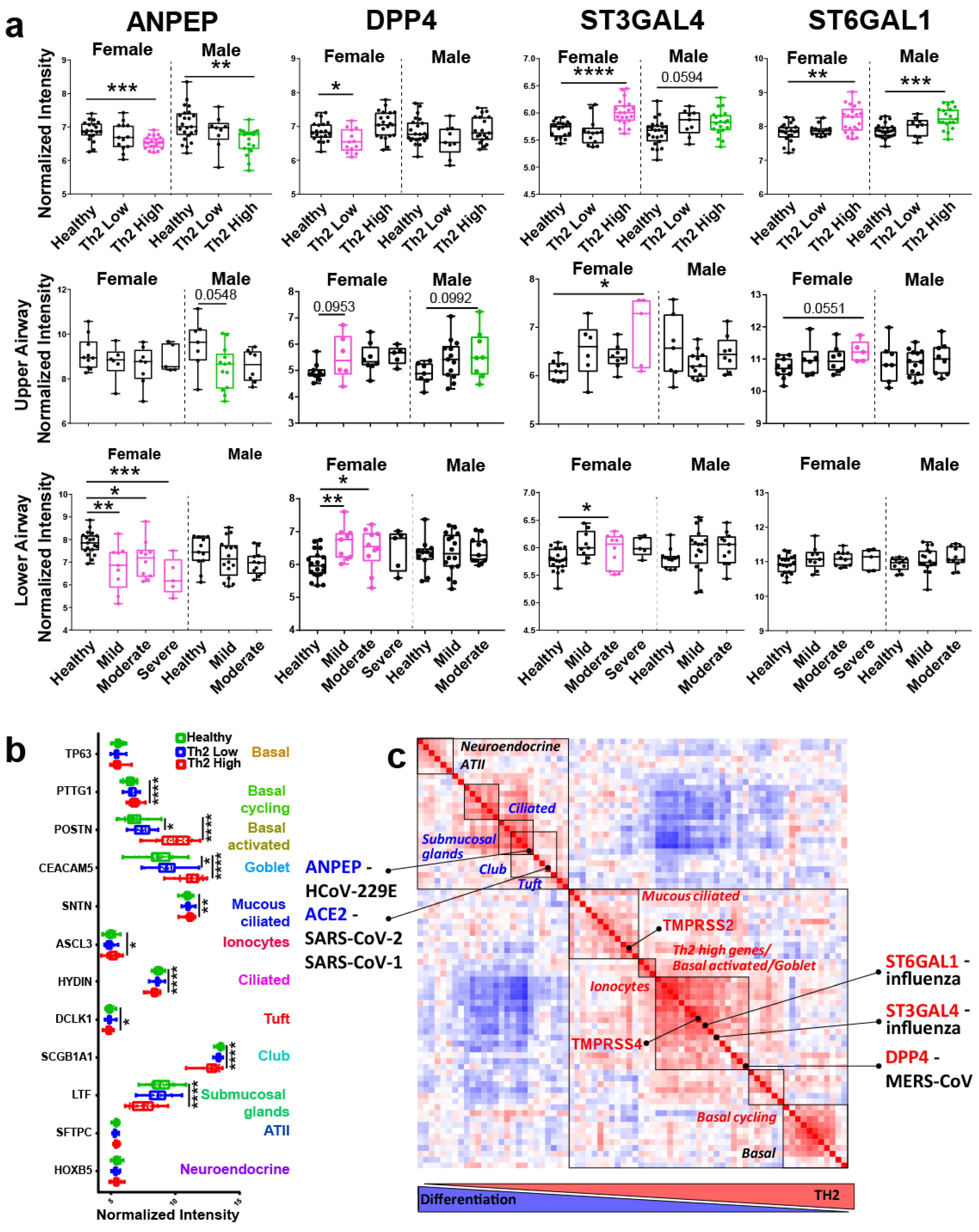 Viruses 13 01081 g002 Viruses 13 01081 g002