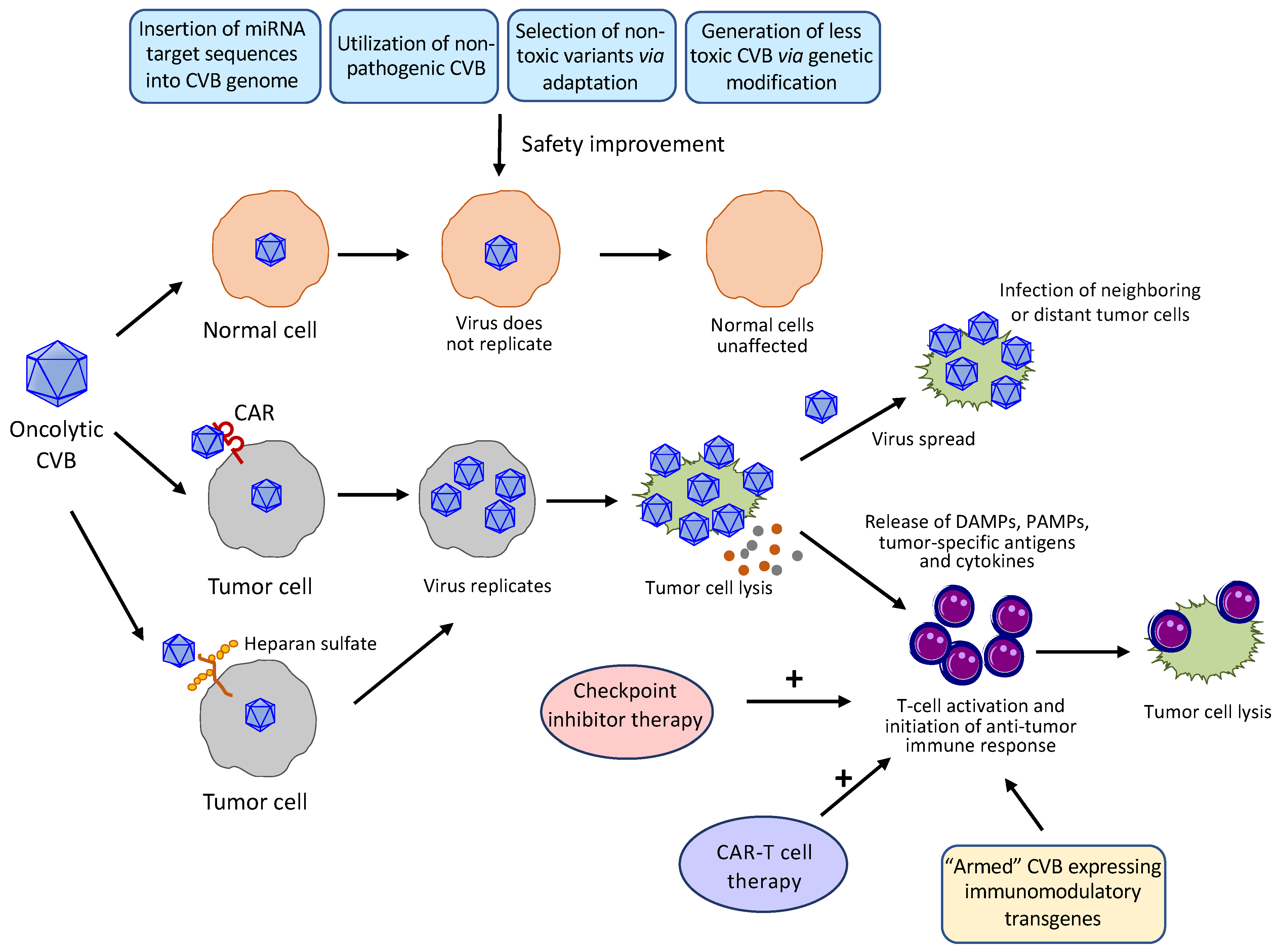 Viruses 13 01082 g003 Viruses 13 01082 g003