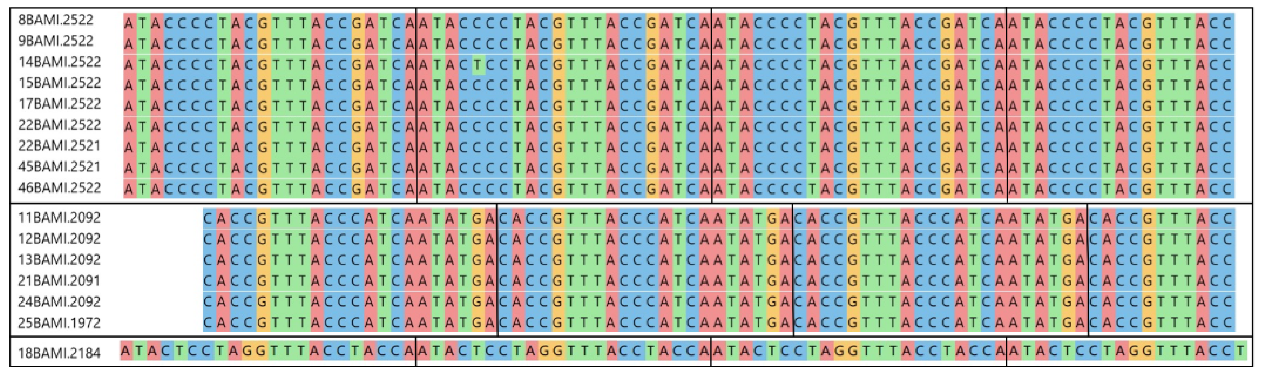 Viruses 13 01088 g002 Viruses 13 01088 g002