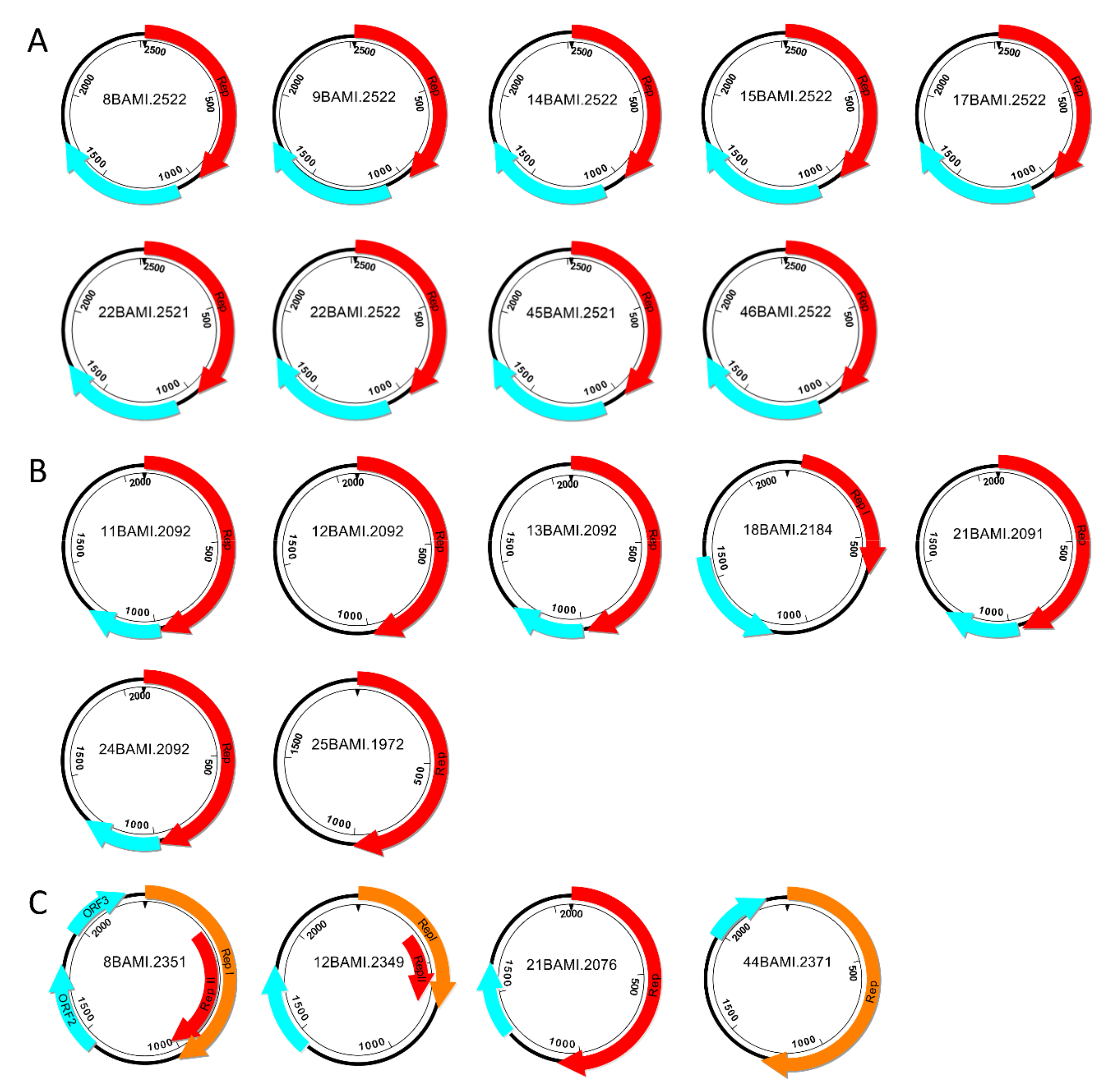 Viruses 13 01088 g003 Viruses 13 01088 g003