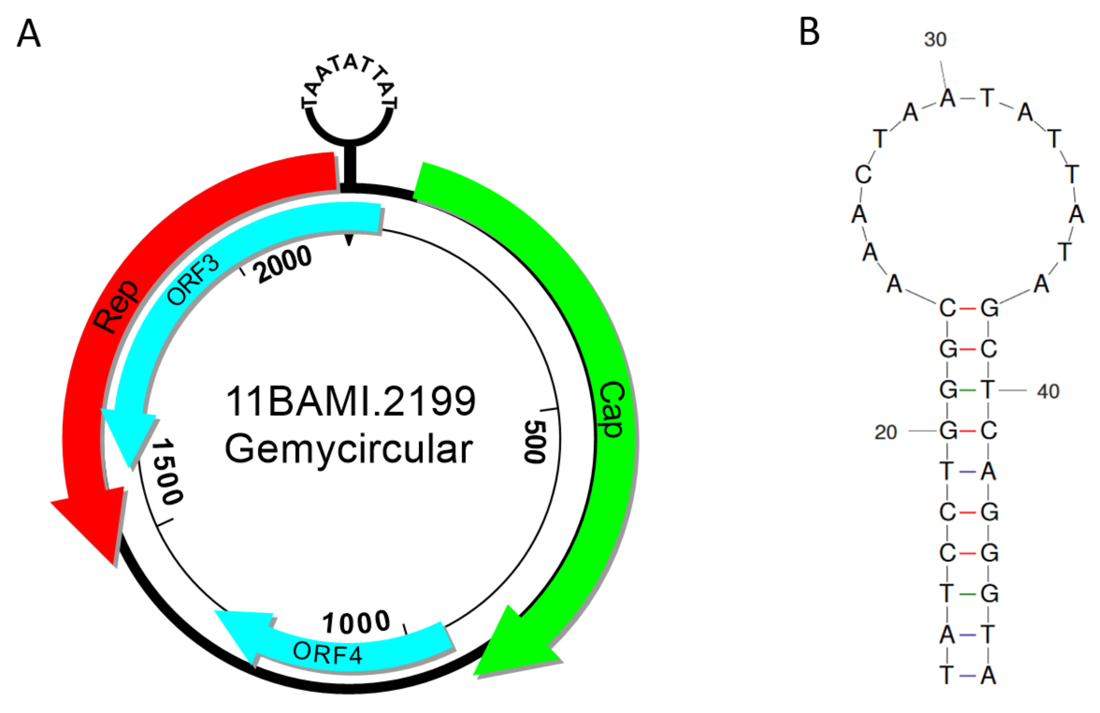 Viruses 13 01088 g005 Viruses 13 01088 g005