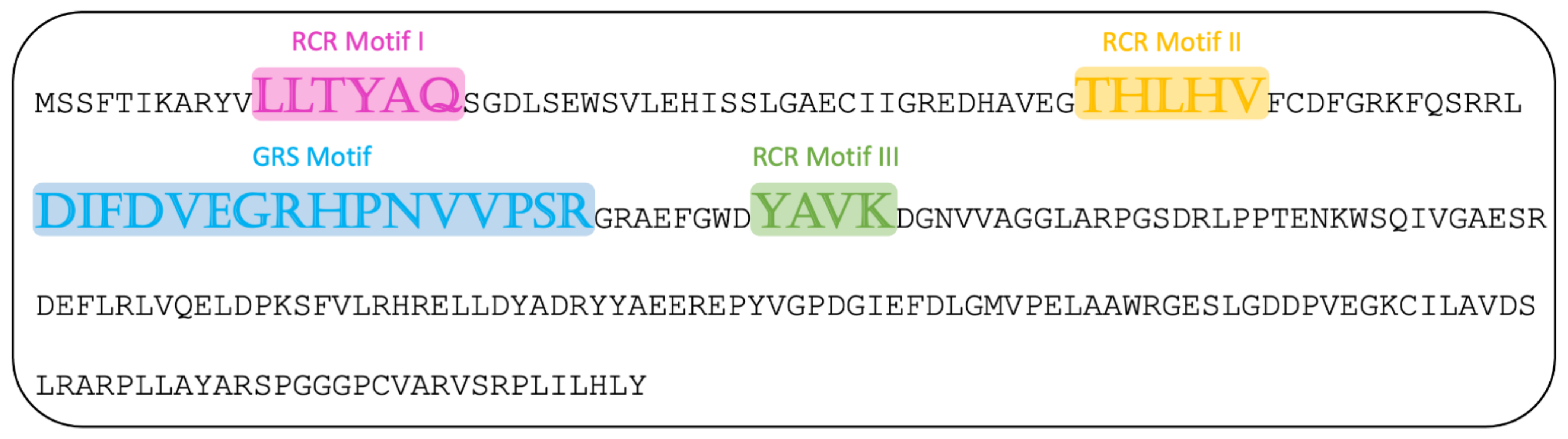 Viruses 13 01088 g006 Viruses 13 01088 g006