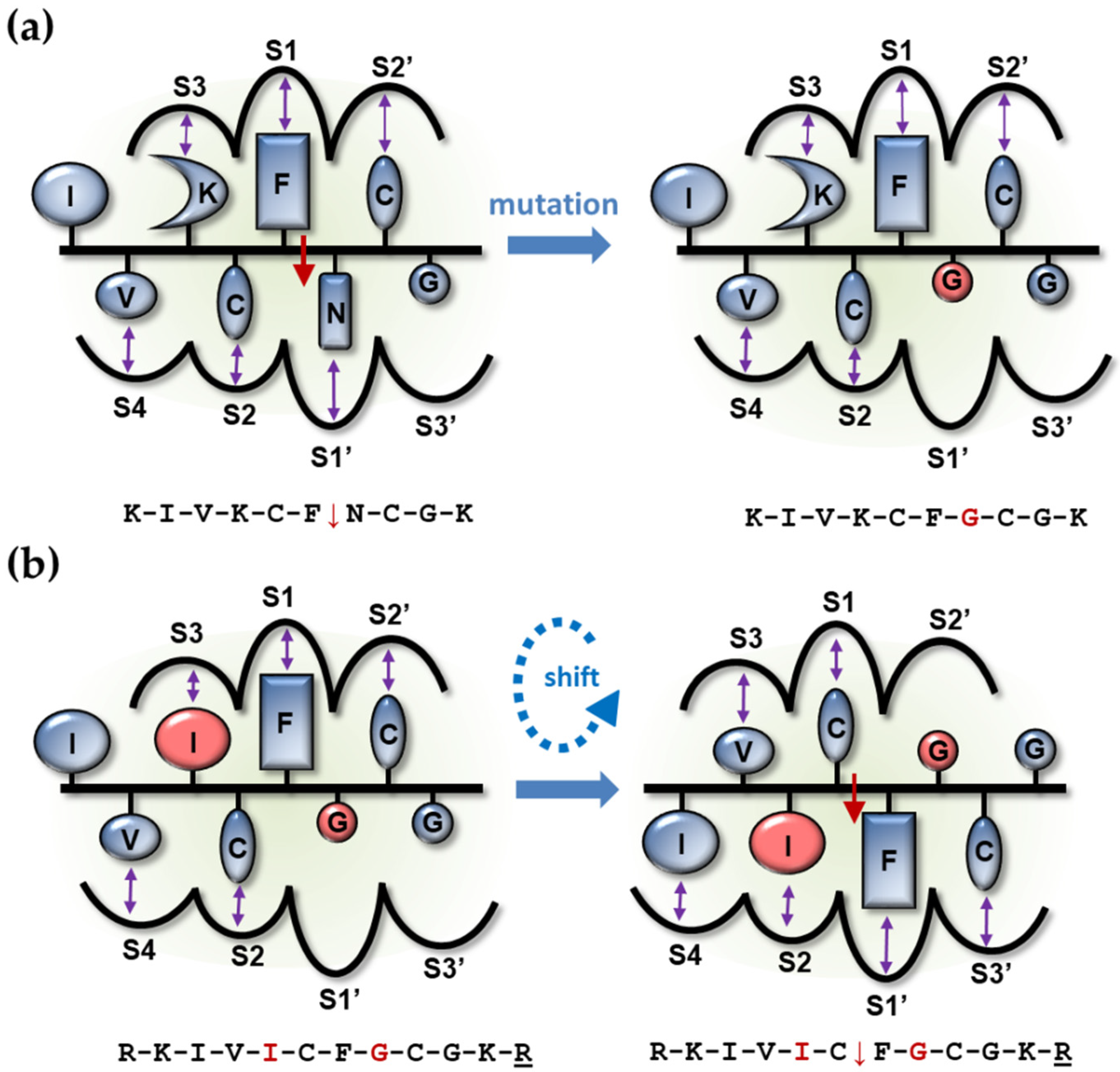 Viruses 13 01092 g004 Viruses 13 01092 g004