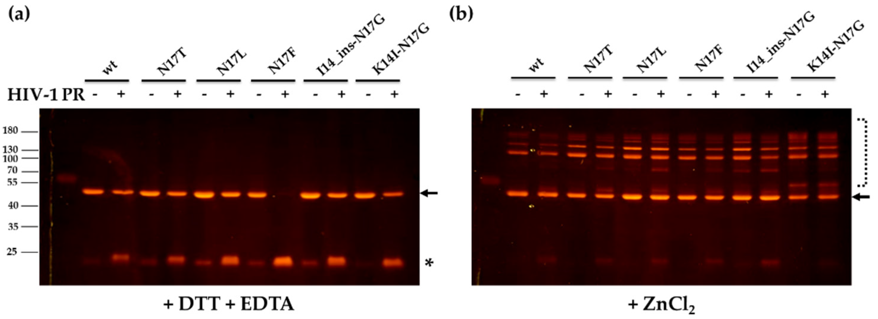 Viruses 13 01092 g005 Viruses 13 01092 g005