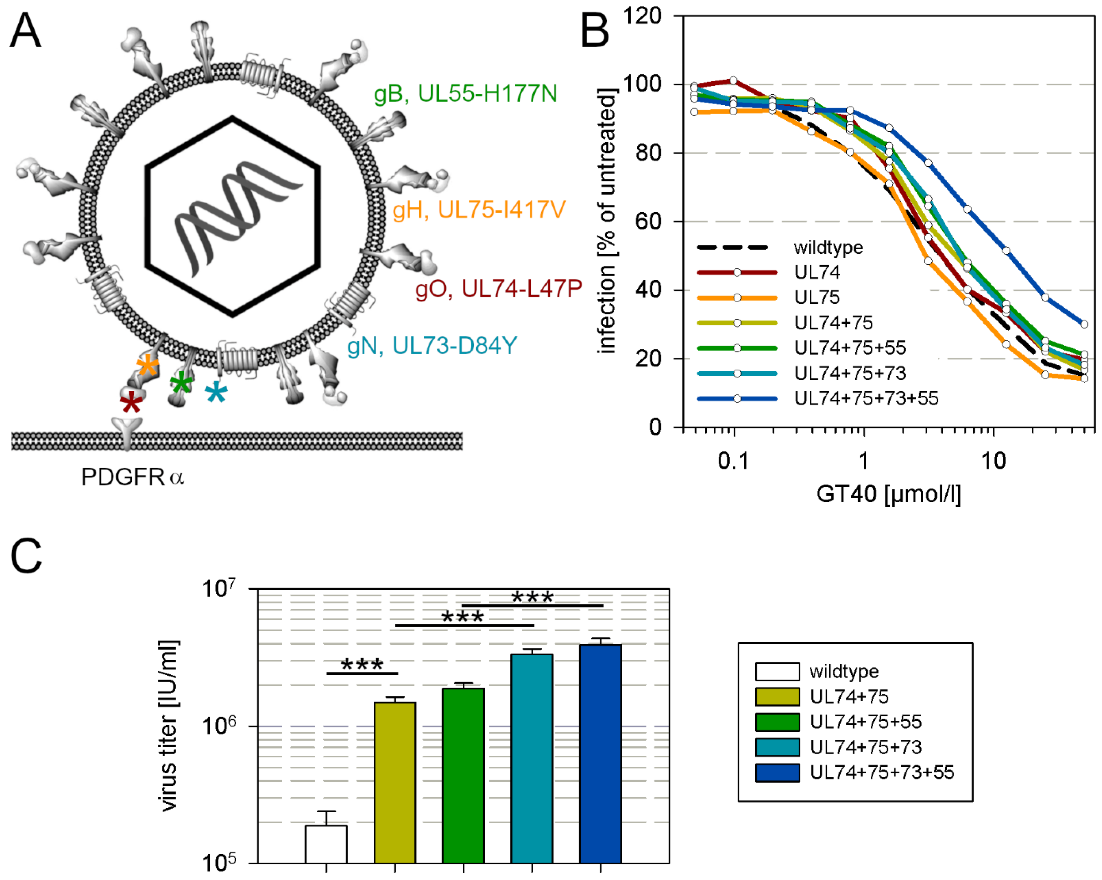 Viruses 13 01094 g004 Viruses 13 01094 g004