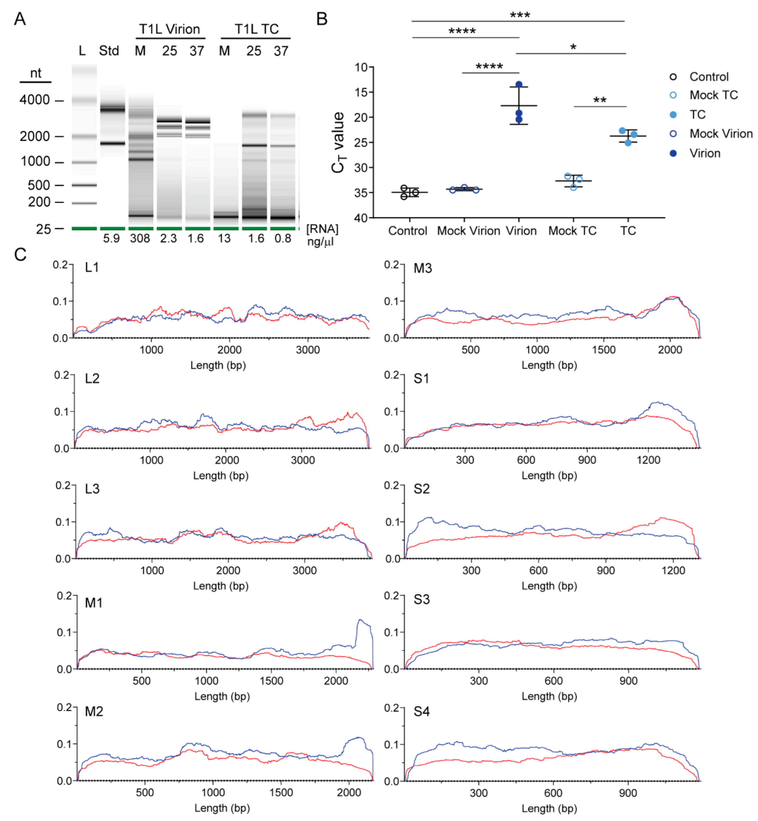 Viruses 13 01096 g002