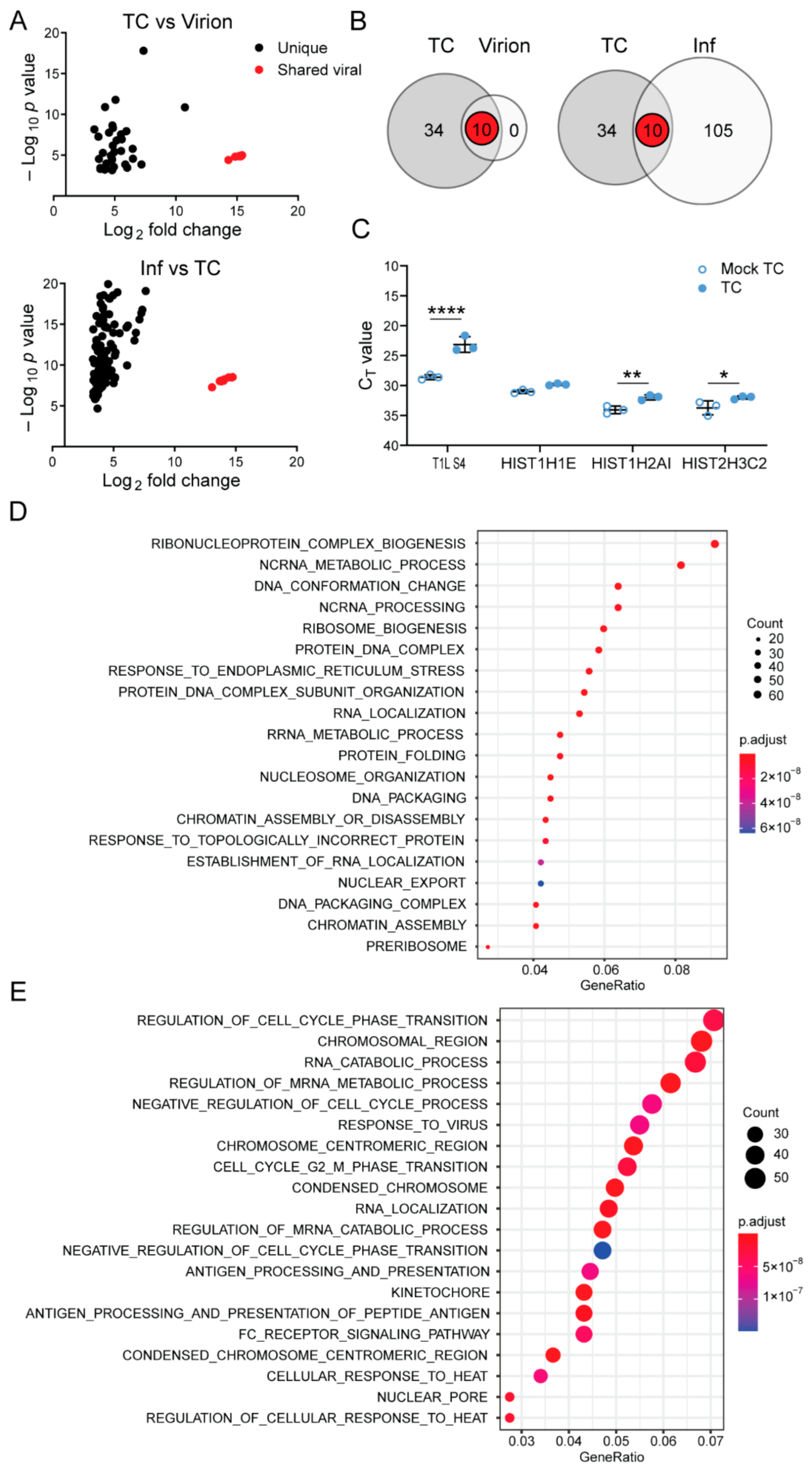 Viruses 13 01096 g004