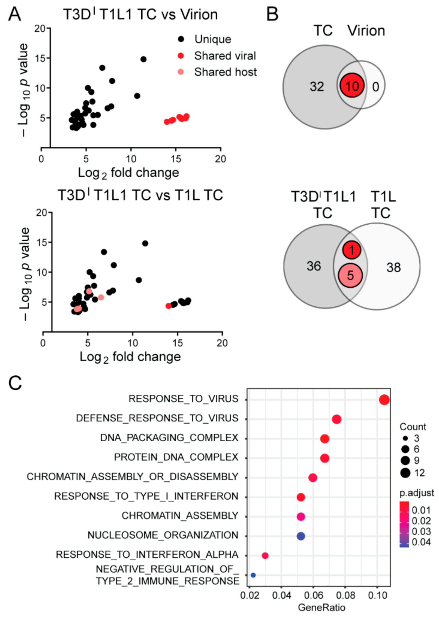 Viruses 13 01096 g005