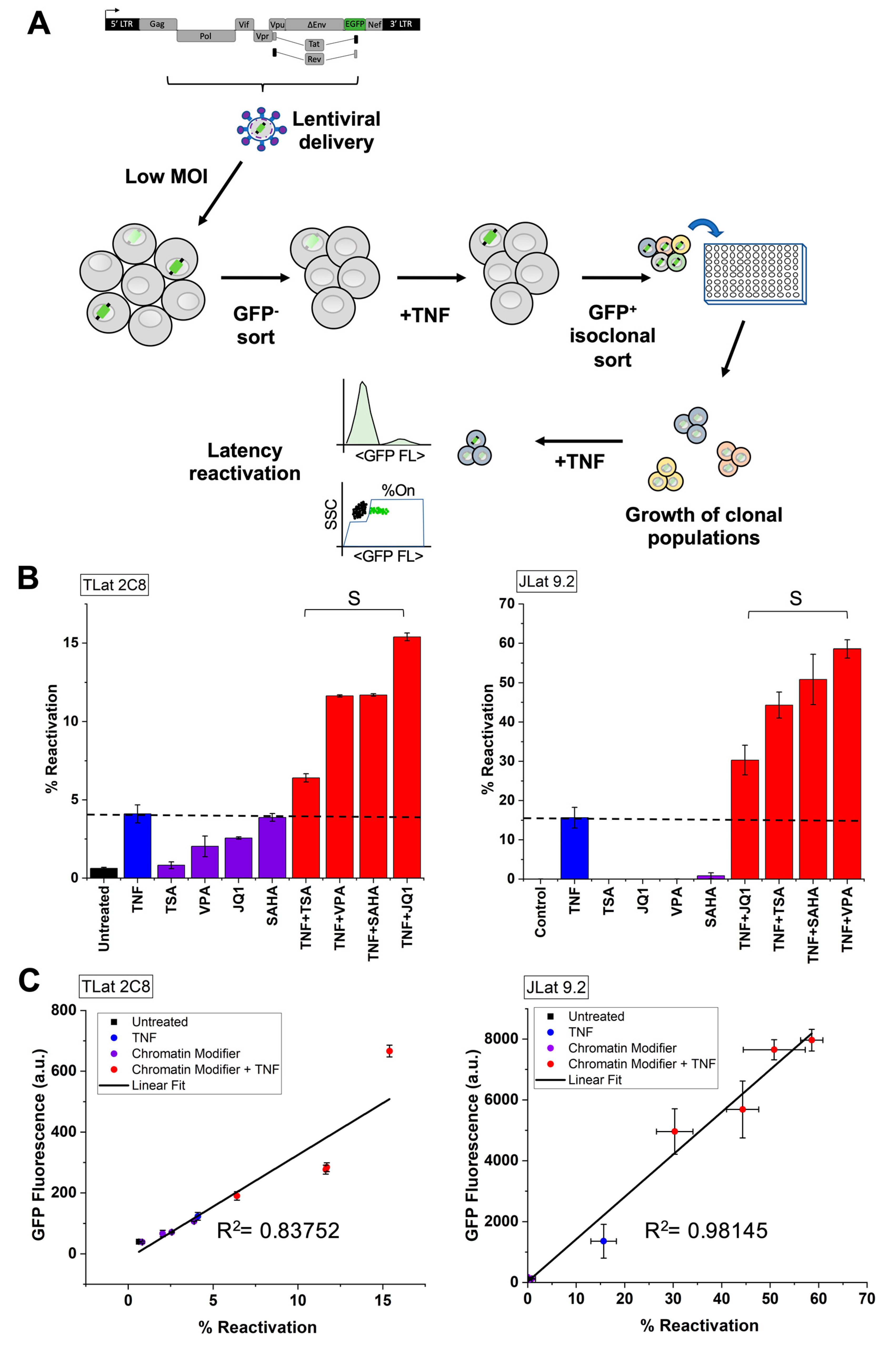 Viruses 13 01097 g003 Viruses 13 01097 g003
