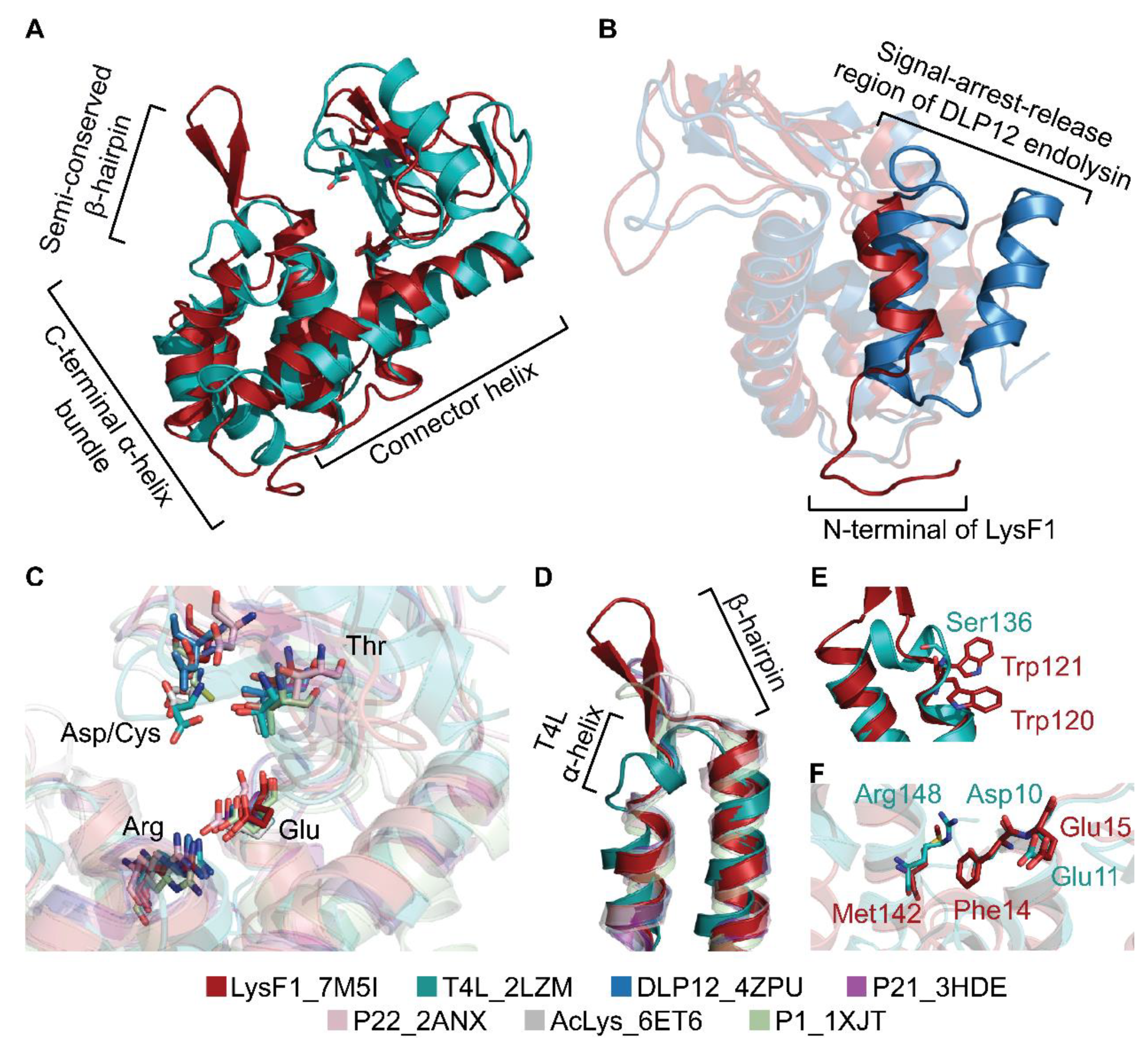 Viruses 13 01101 g006 Viruses 13 01101 g006