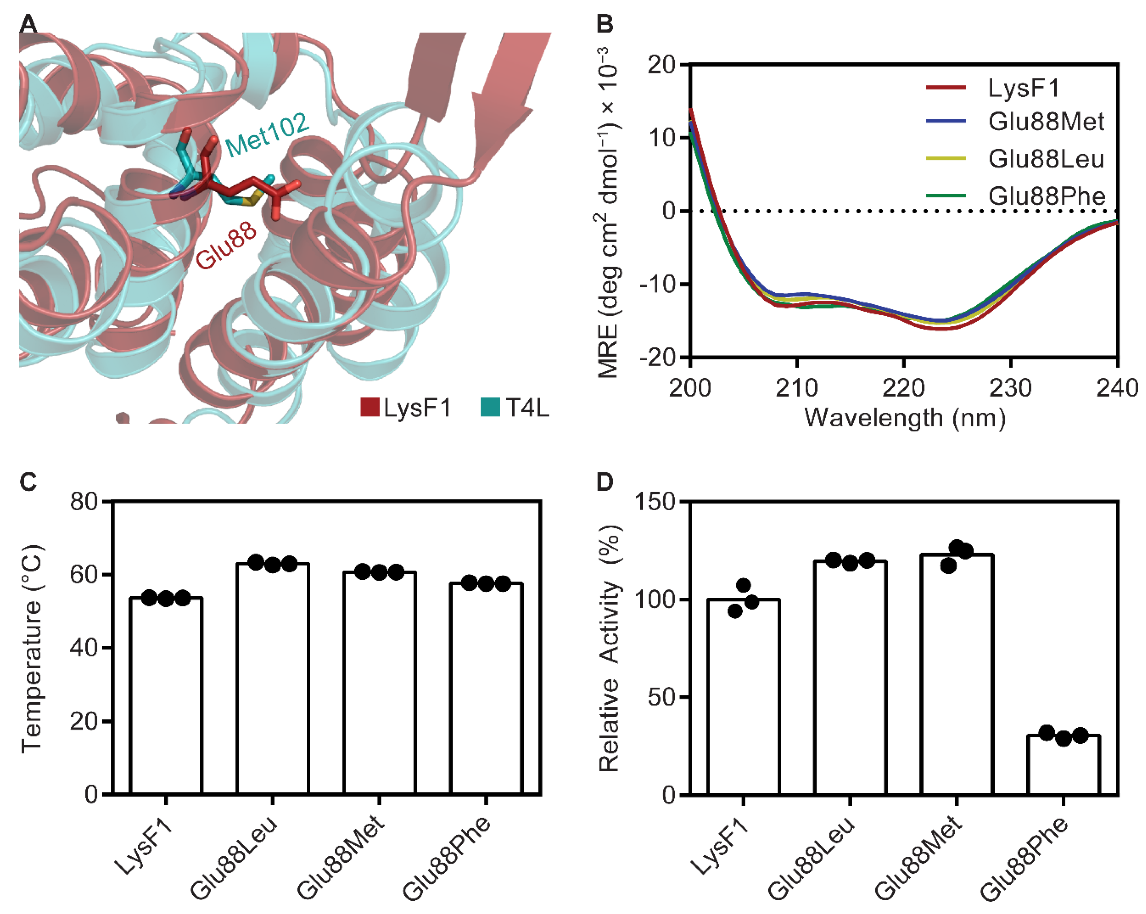 Viruses 13 01101 g007 Viruses 13 01101 g007