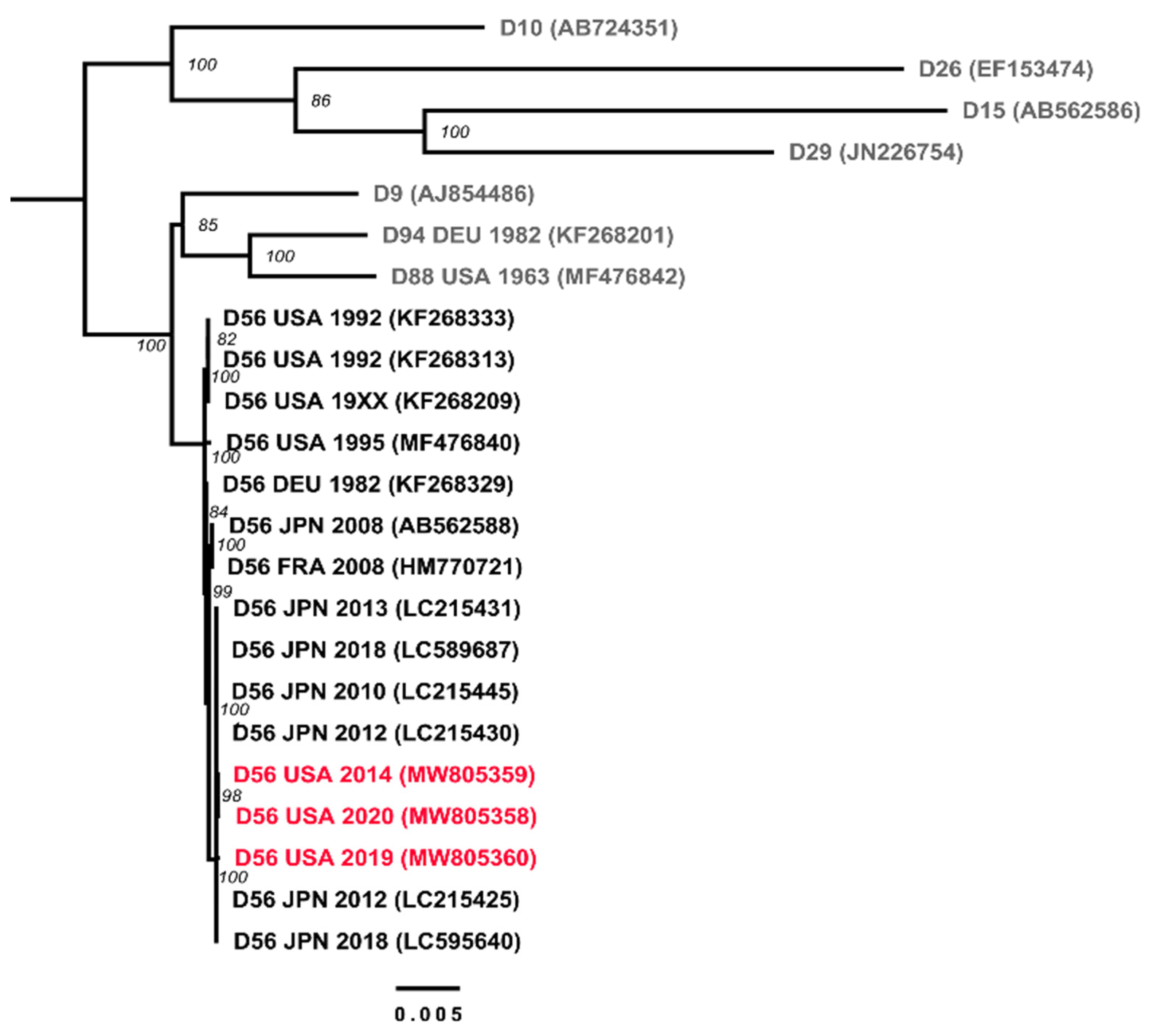 Viruses 13 01105 g001