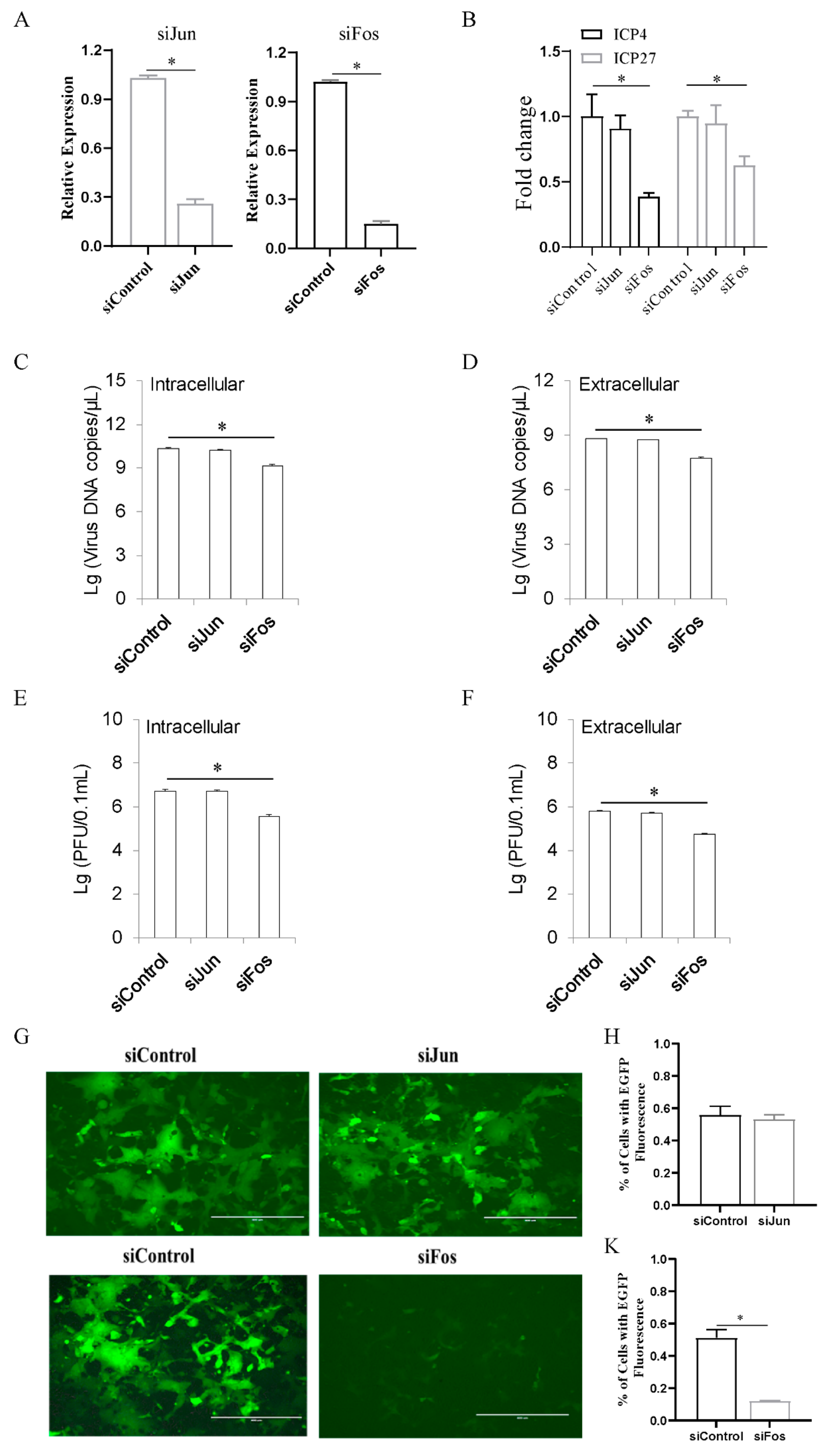 Viruses 13 01110 g002 Viruses 13 01110 g002