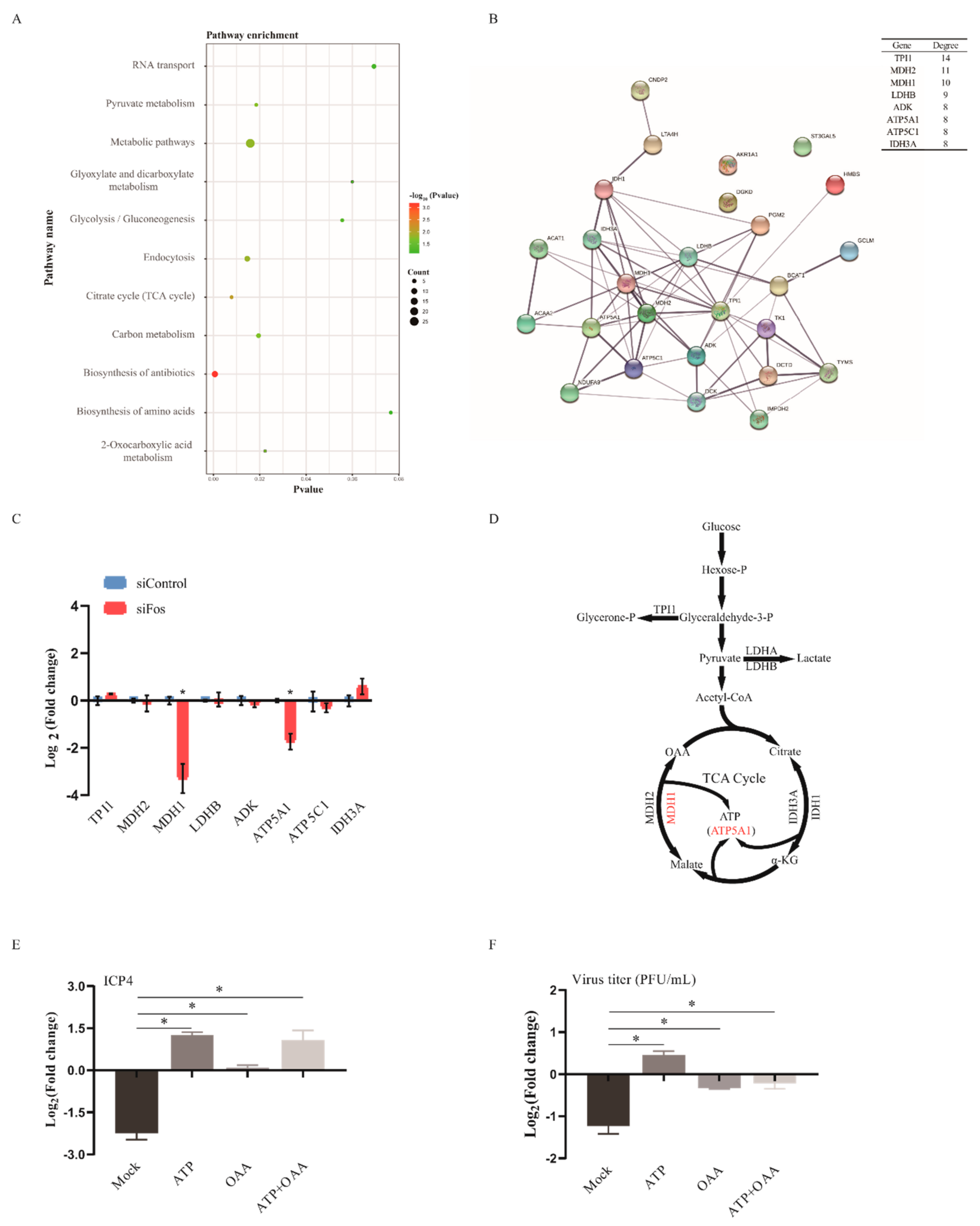 Viruses 13 01110 g003 Viruses 13 01110 g003