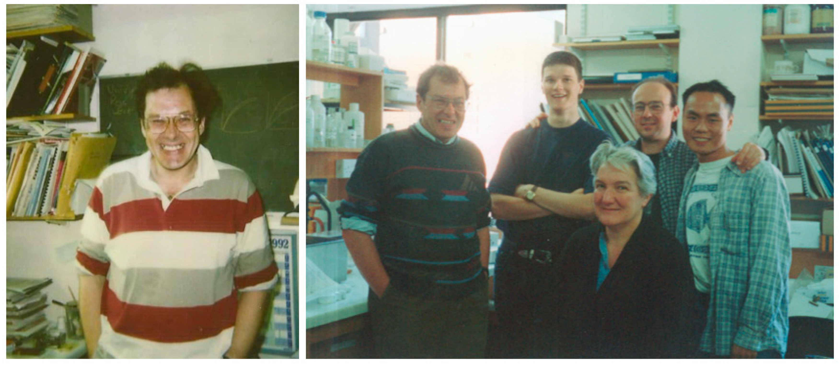 Viruses 13 01111 g001 550