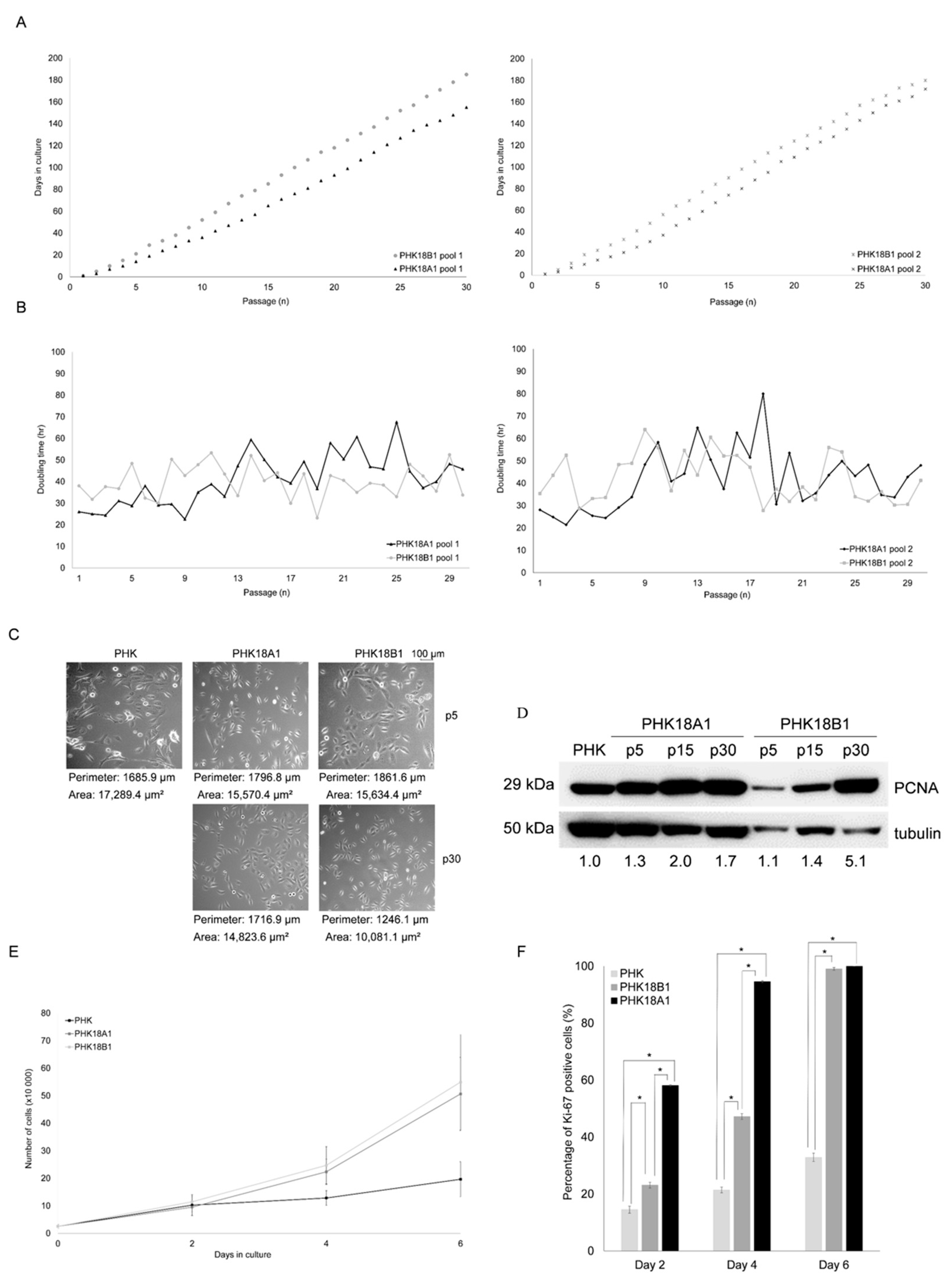 Viruses 13 01114 g001 Viruses 13 01114 g001
