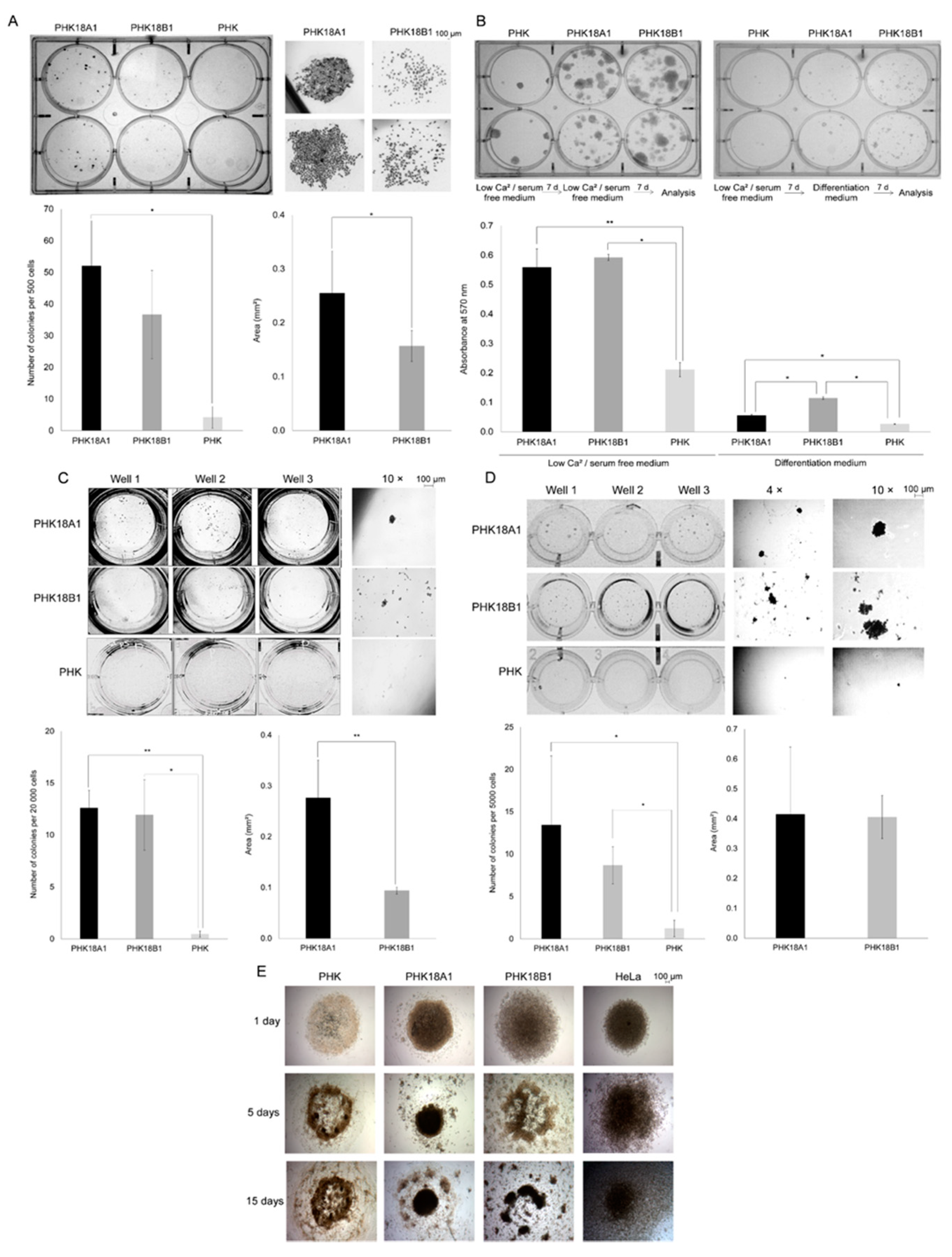 Viruses 13 01114 g004 Viruses 13 01114 g004