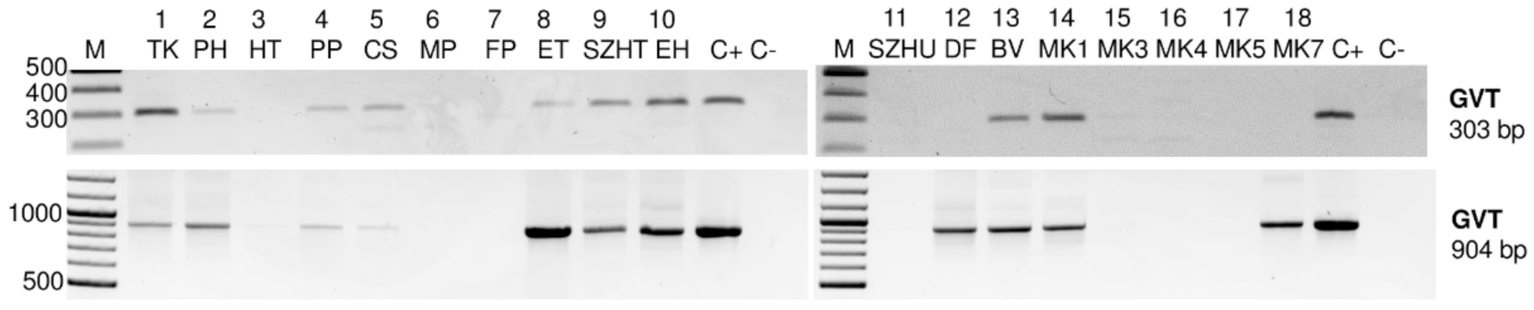 Viruses 13 01119 g001 Viruses 13 01119 g001