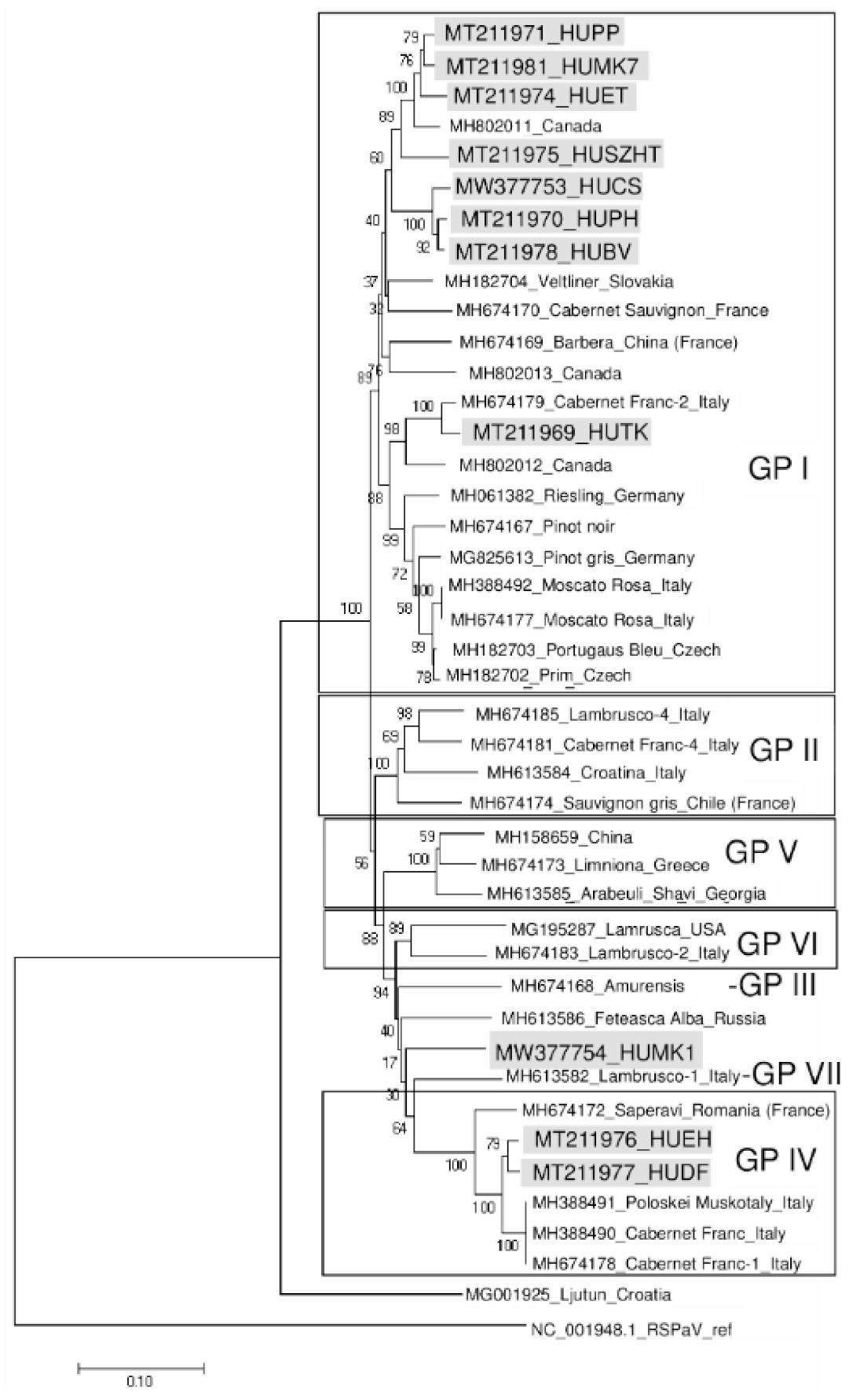 Viruses 13 01119 g002 Viruses 13 01119 g002