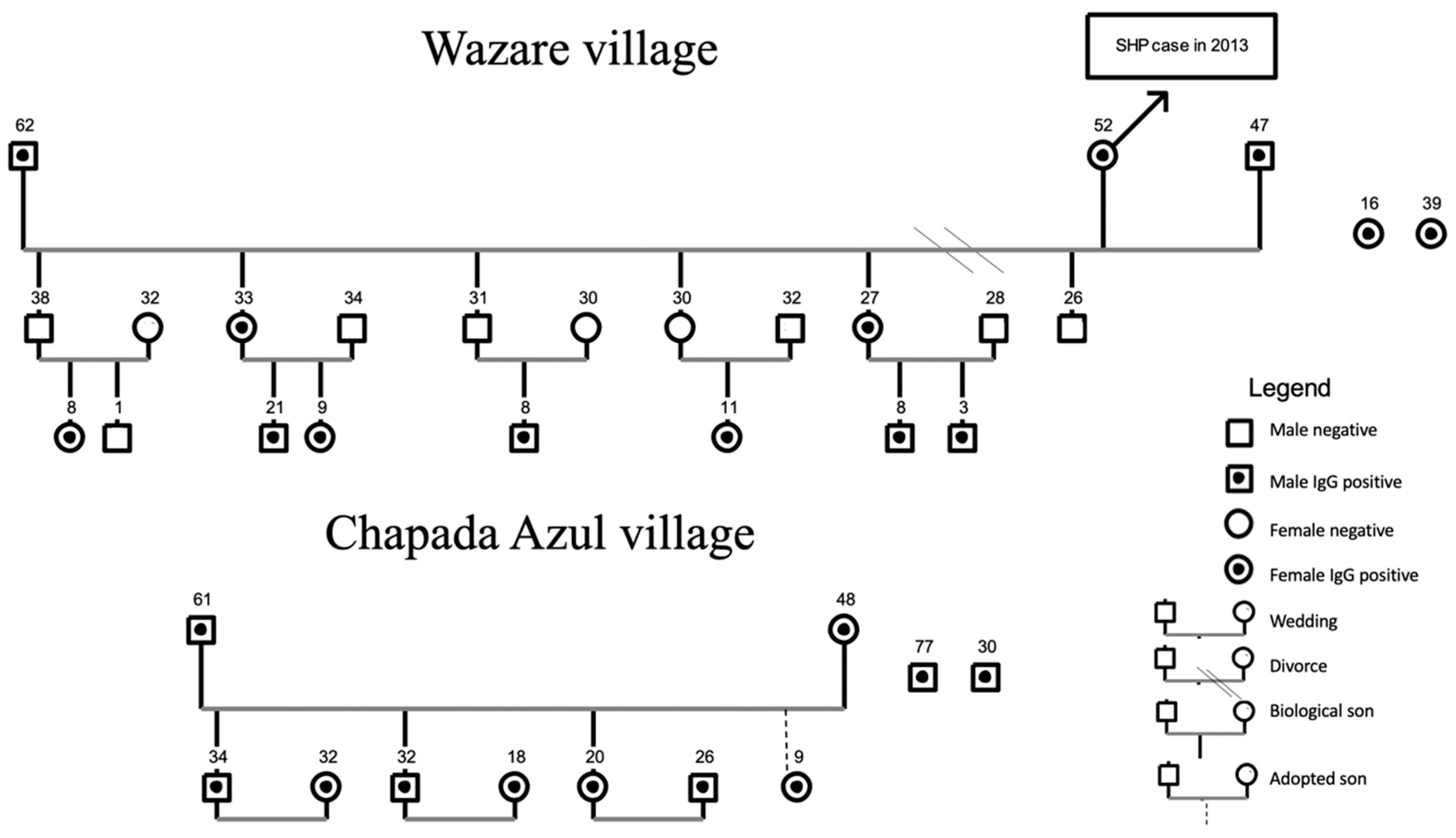 Viruses 13 01122 g002 Viruses 13 01122 g002