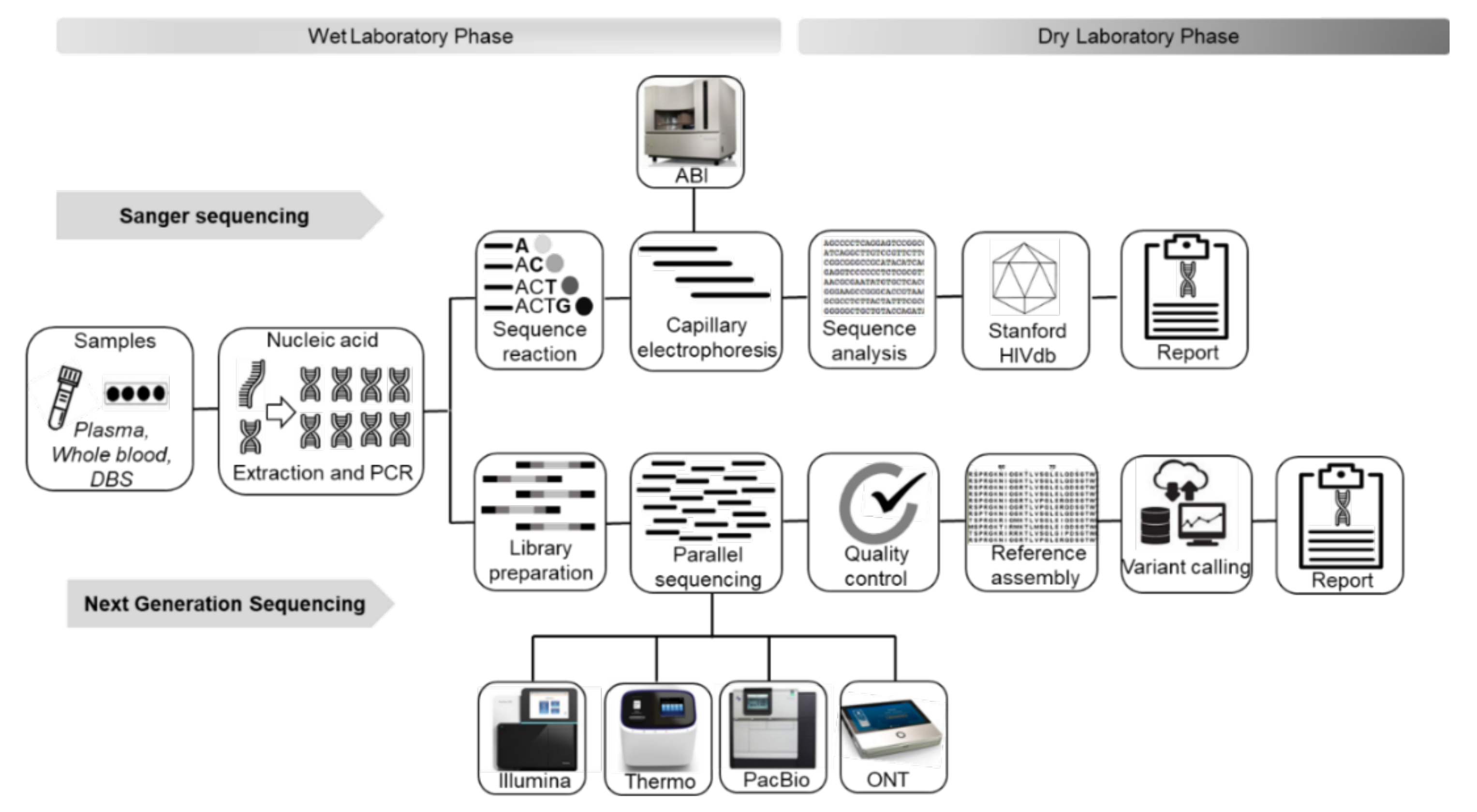 Viruses 13 01125 g001 Viruses 13 01125 g001