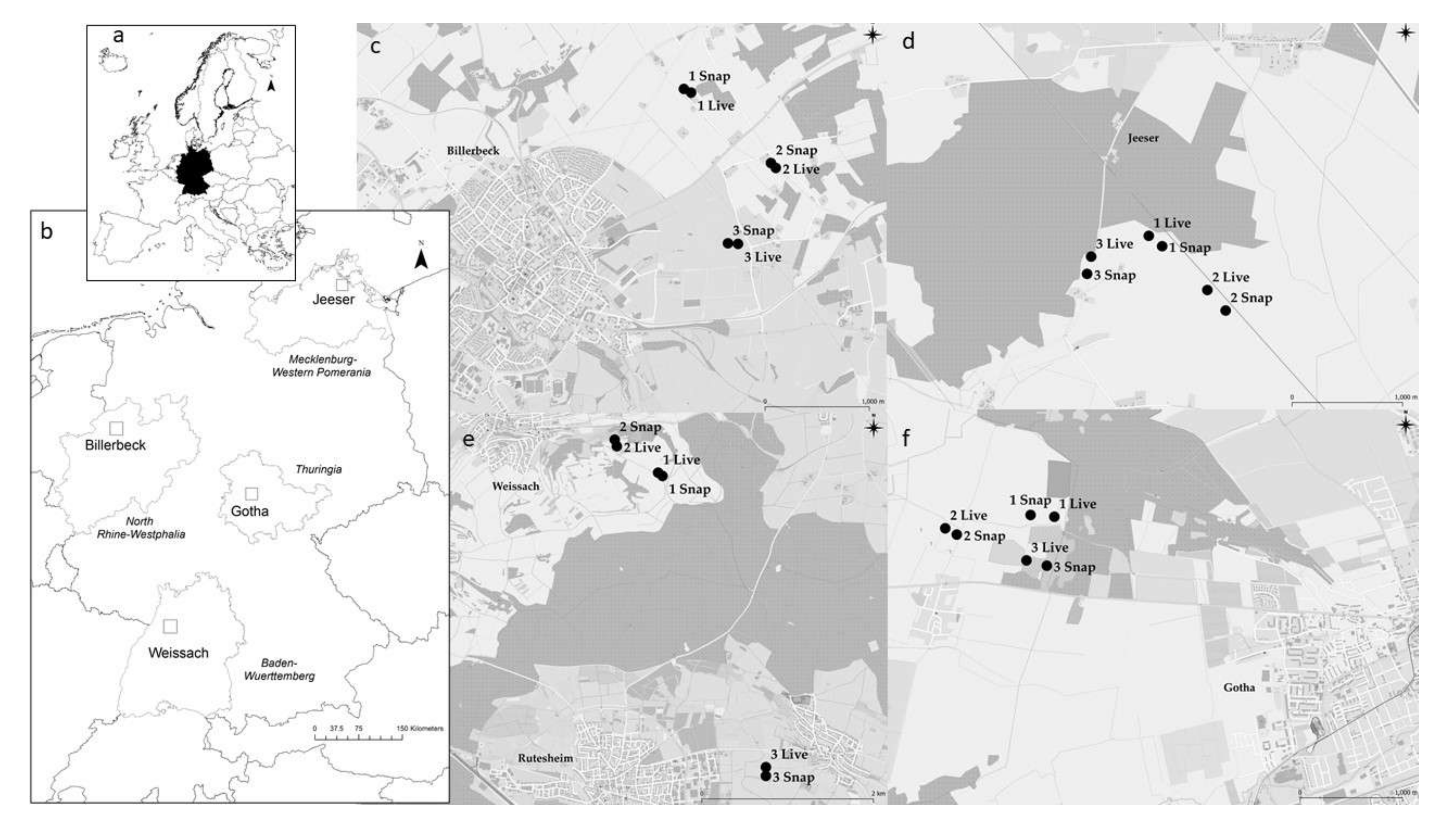 Viruses 13 01132 g001