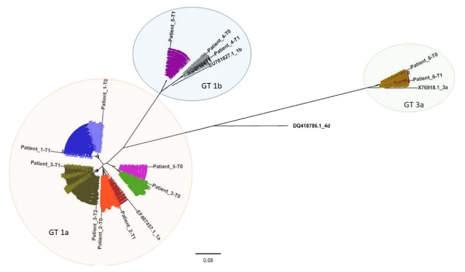 Viruses 13 01151 g002