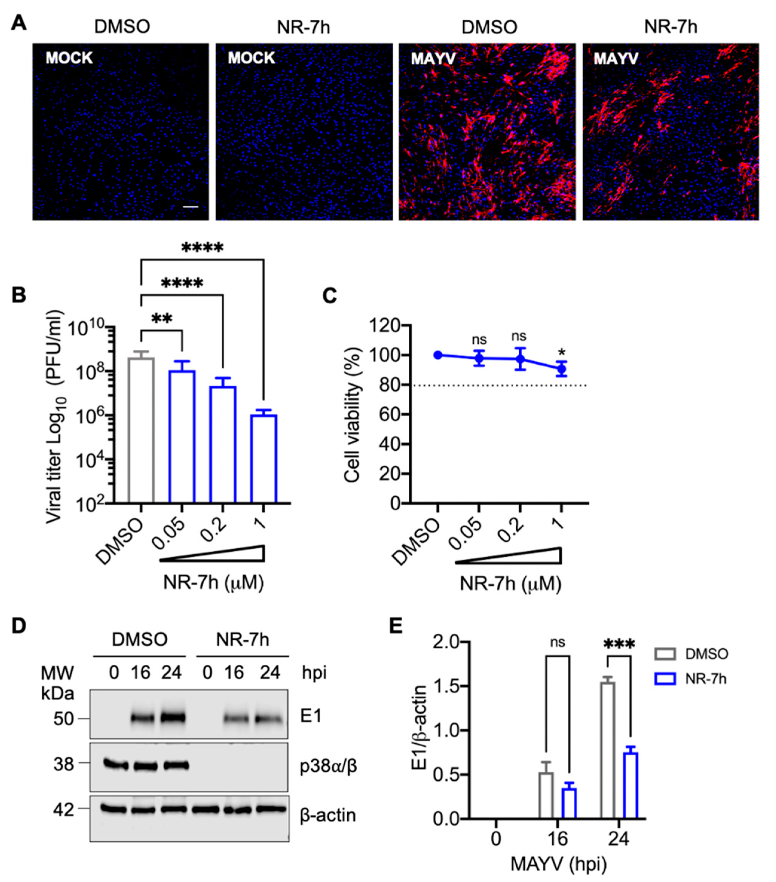 Viruses 13 01156 g006 Viruses 13 01156 g006