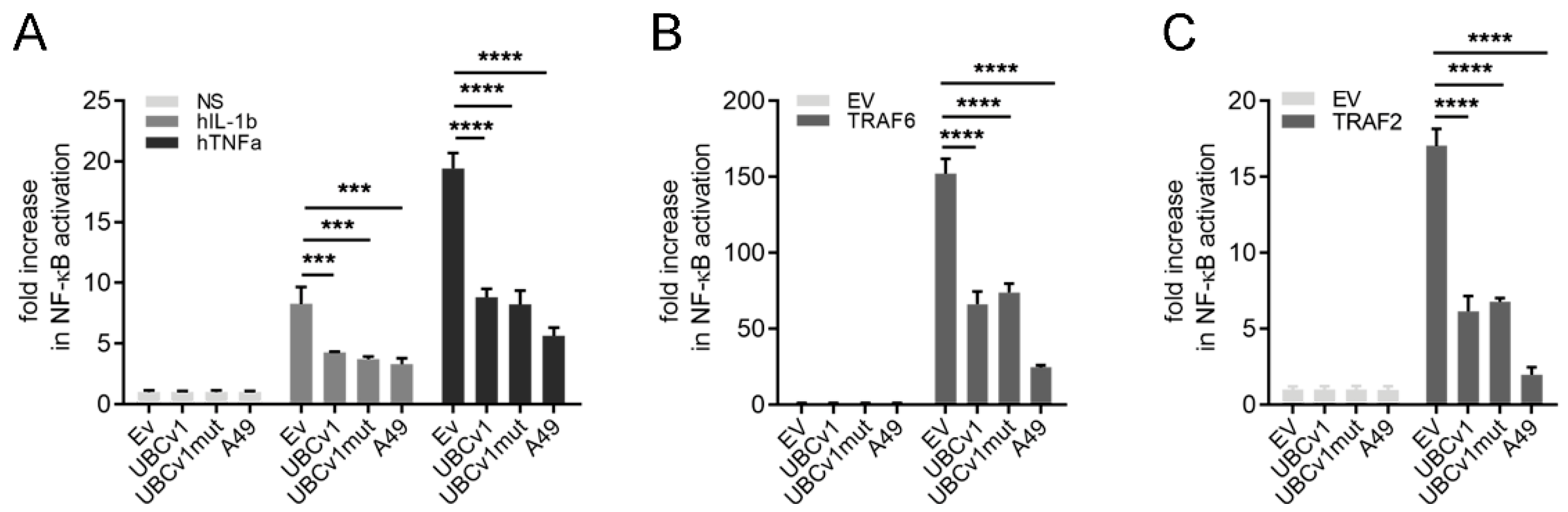 Viruses 13 01160 g001 Viruses 13 01160 g001