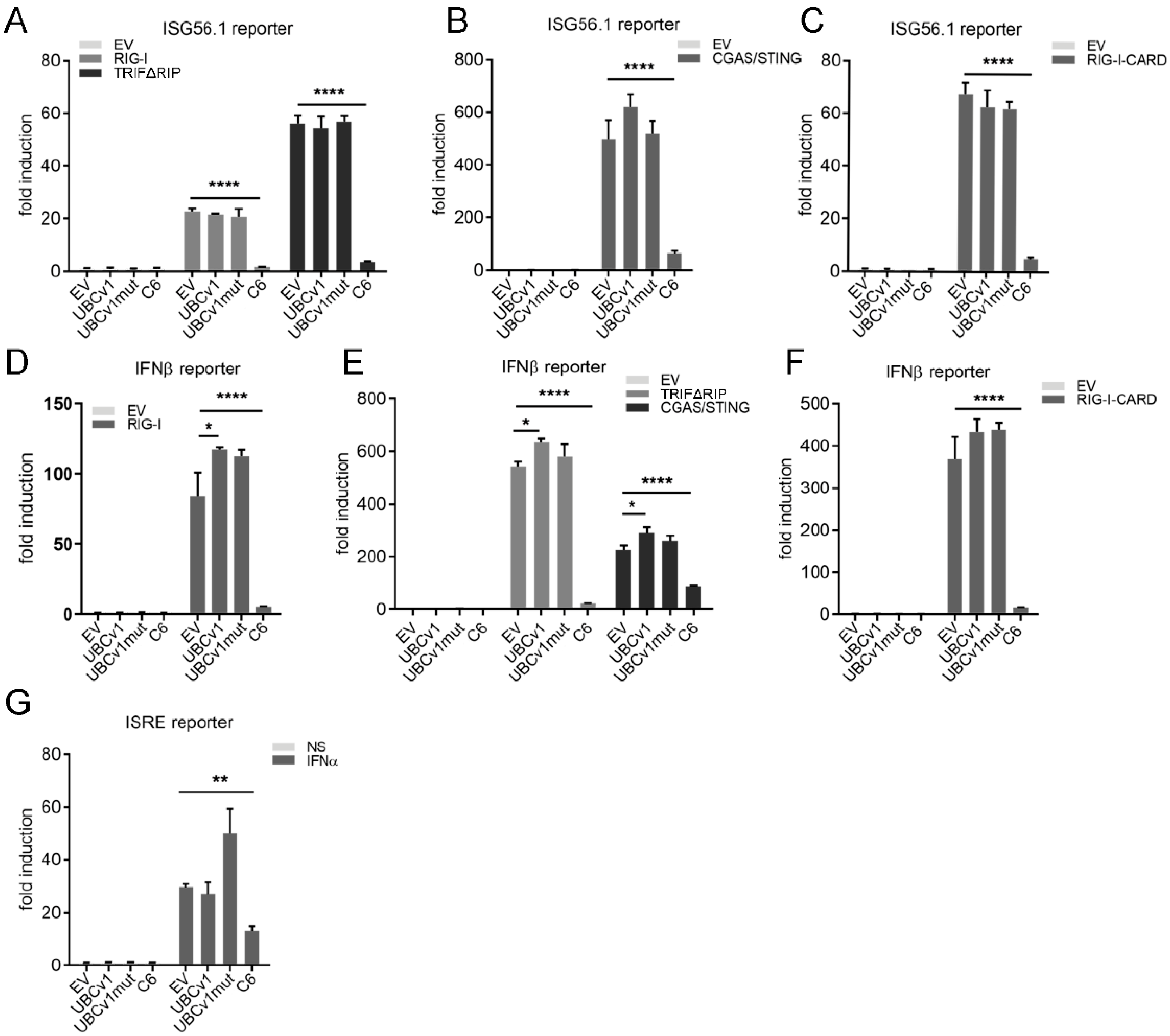 Viruses 13 01160 g002 Viruses 13 01160 g002