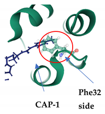 Viruses 13 01161 i001