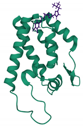 Viruses 13 01161 i002