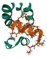 Viruses 13 01161 i003