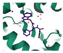Viruses 13 01161 i005