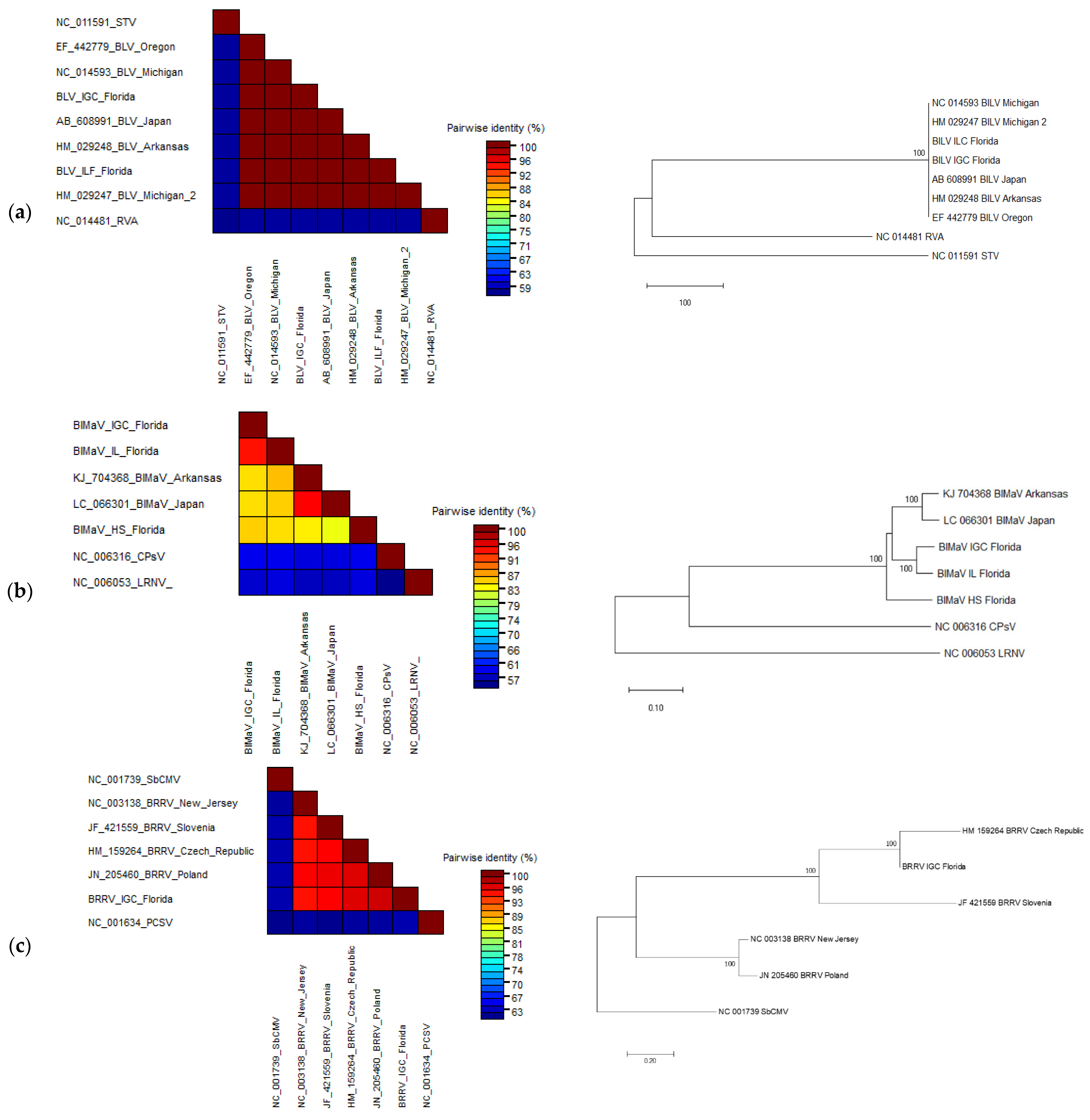 Viruses 13 01165 g004a Viruses 13 01165 g004a