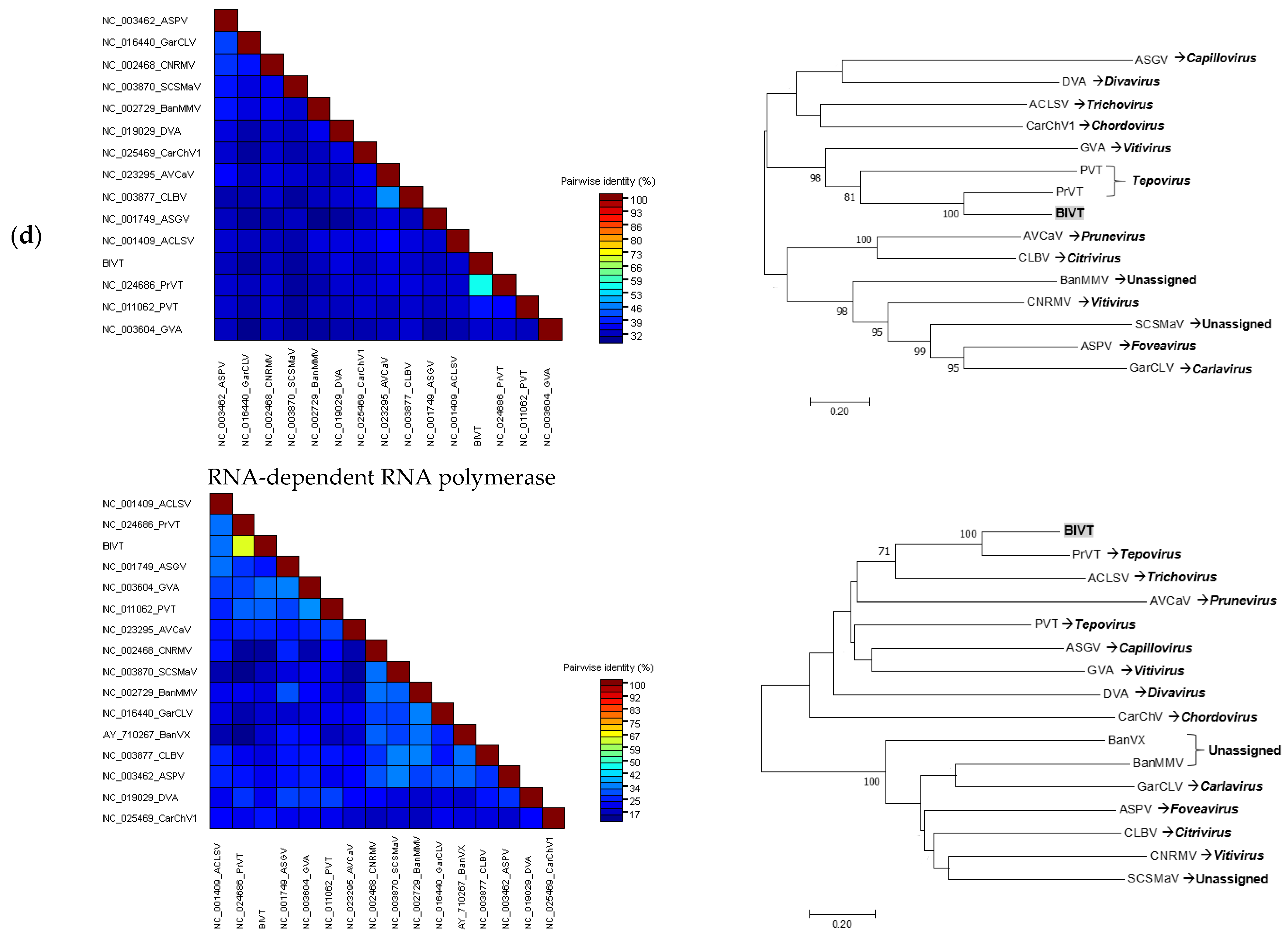 Viruses 13 01165 g004b Viruses 13 01165 g004b