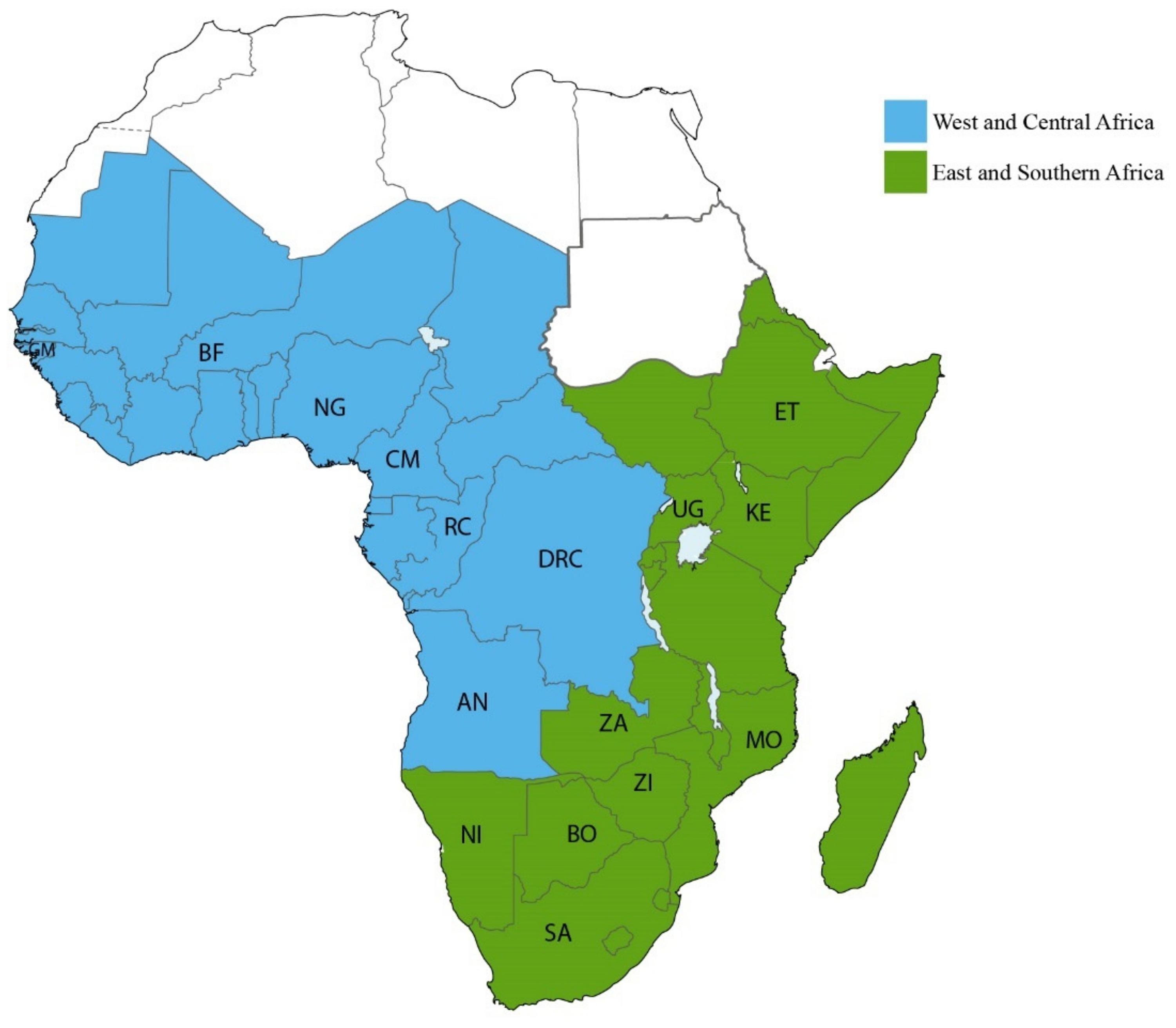 Viruses 13 01174 g002