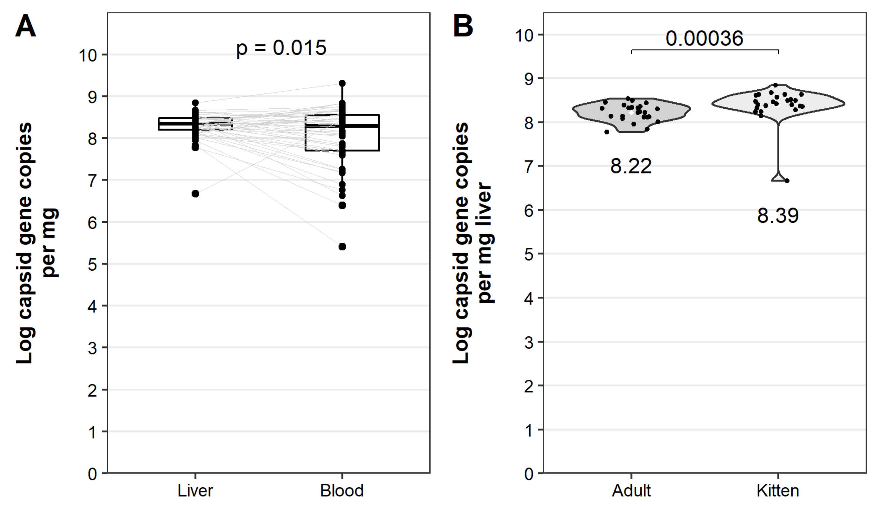 Viruses 13 01184 g007