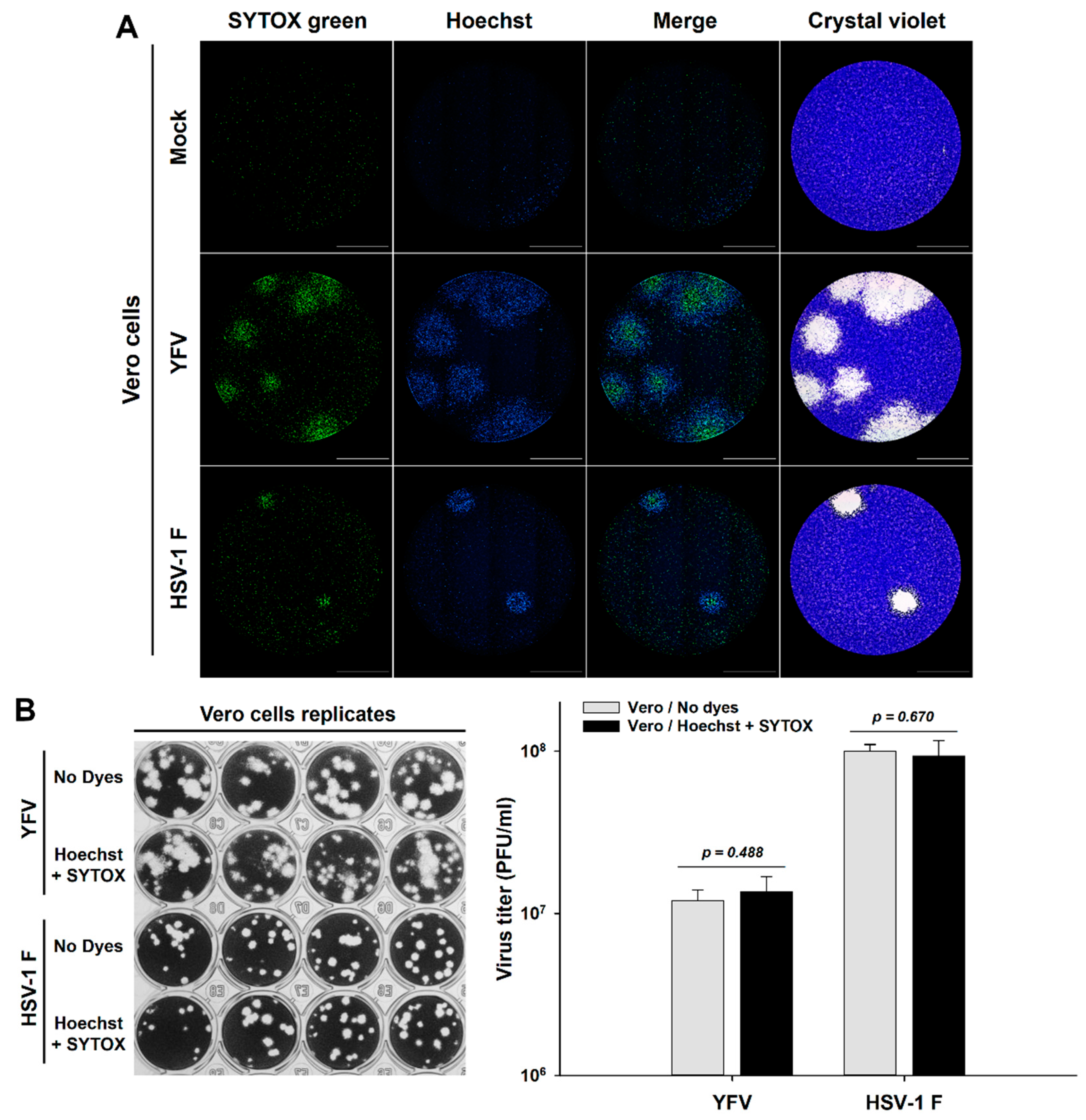 Viruses 13 01193 g002 550