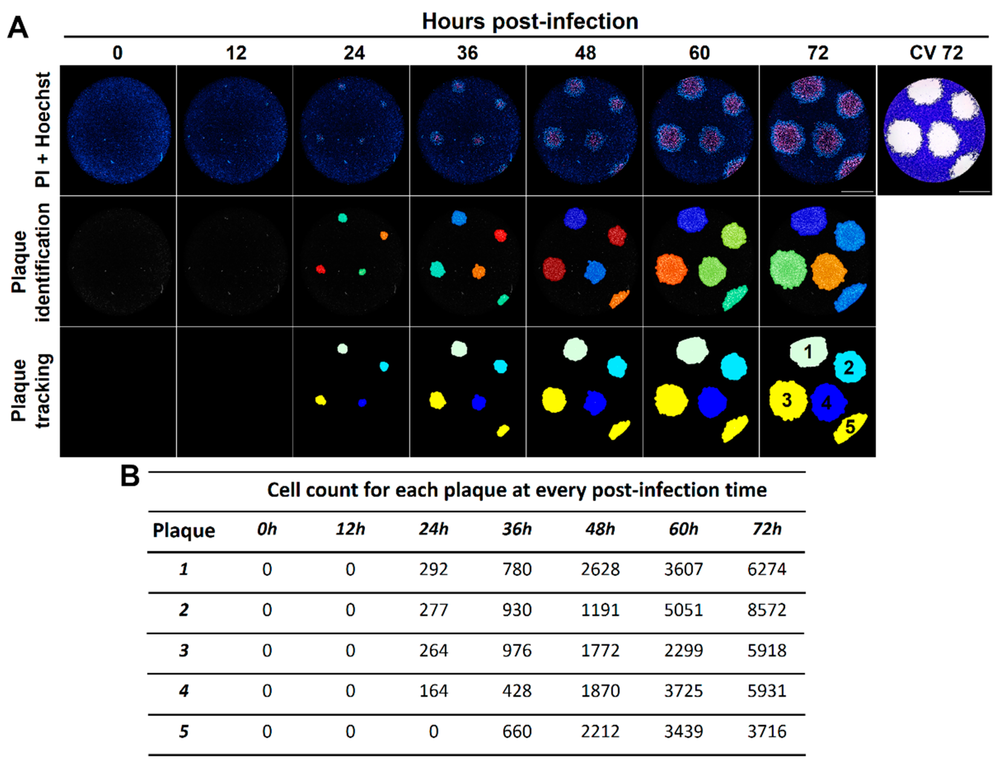 Viruses 13 01193 g006 550